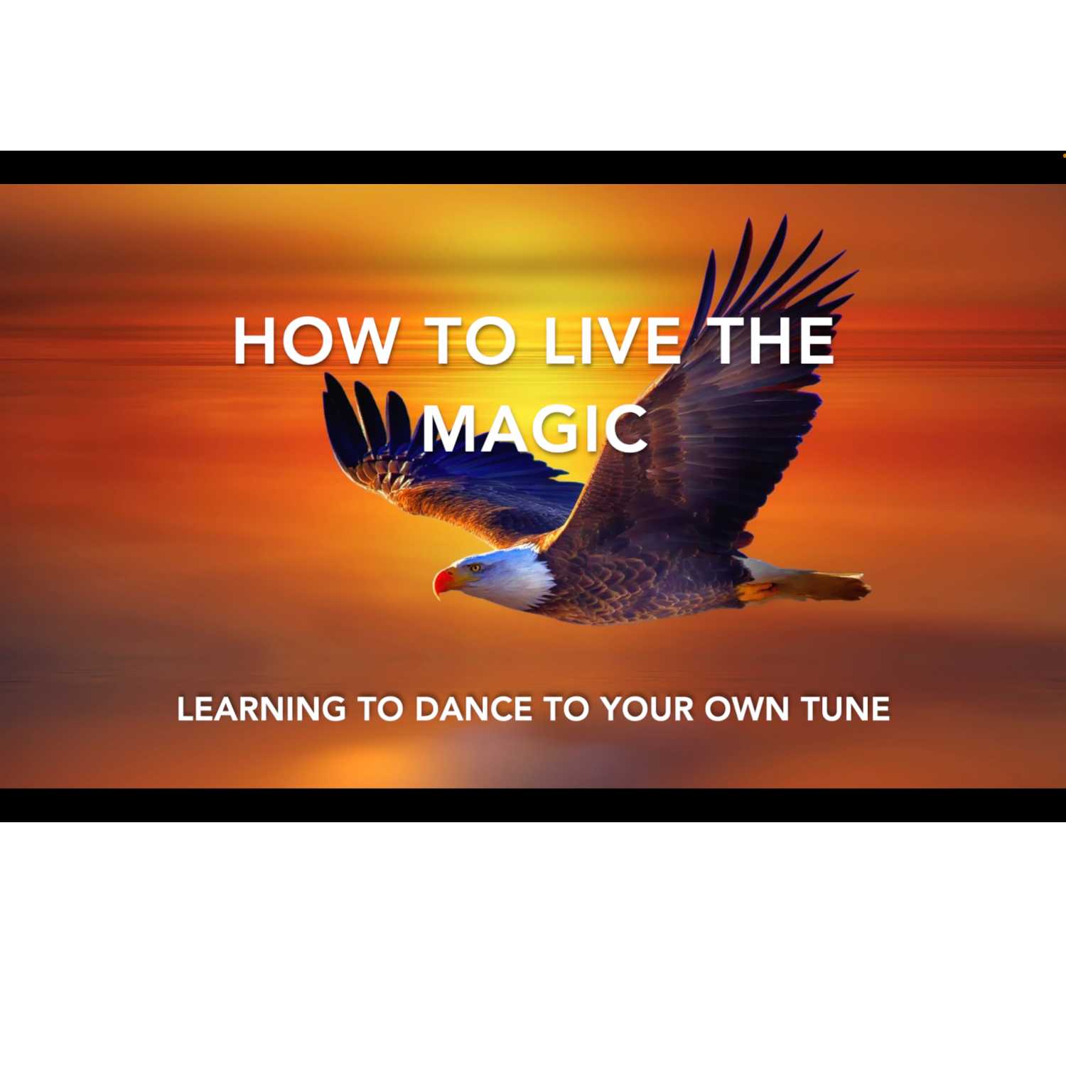 How to Live the Magic ✨ 👉 🦅 How to Live the Magic ✨ 👉 🦅