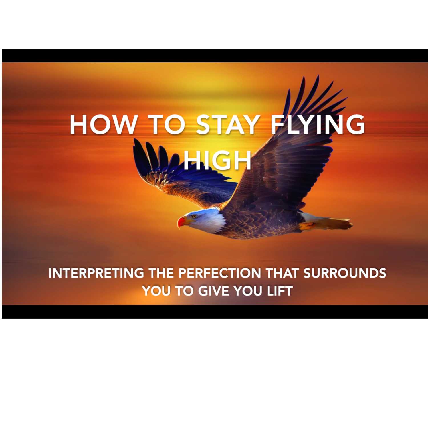 How to Stay Flying High 🌏 🪐 😍 👉 🦅 How to Stay Flying High 🌏 🪐 😍 👉 🦅