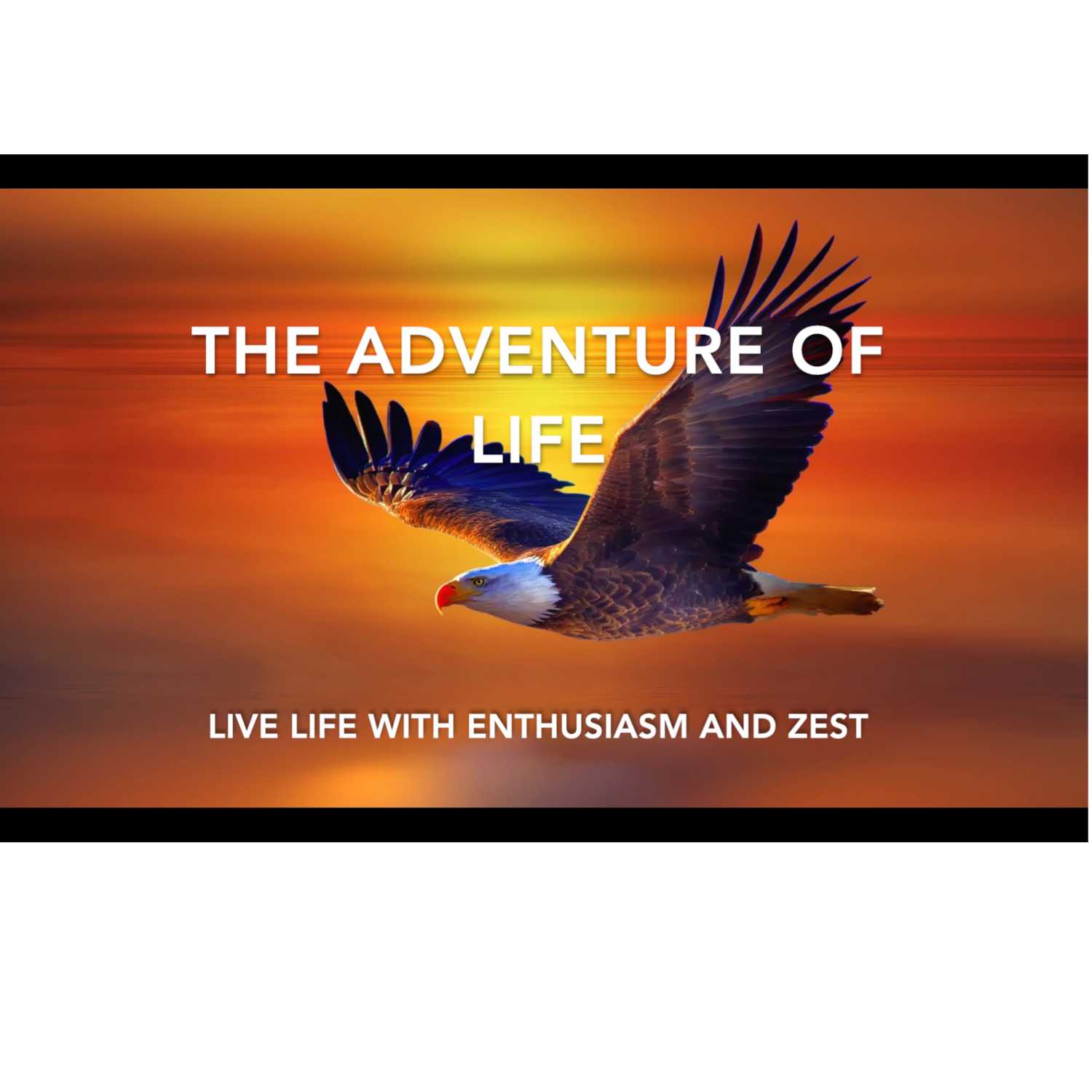 The Adventure of Life ❤️ 😄 👉 🌈 The Adventure of Life ❤️ 😄 👉 🌈