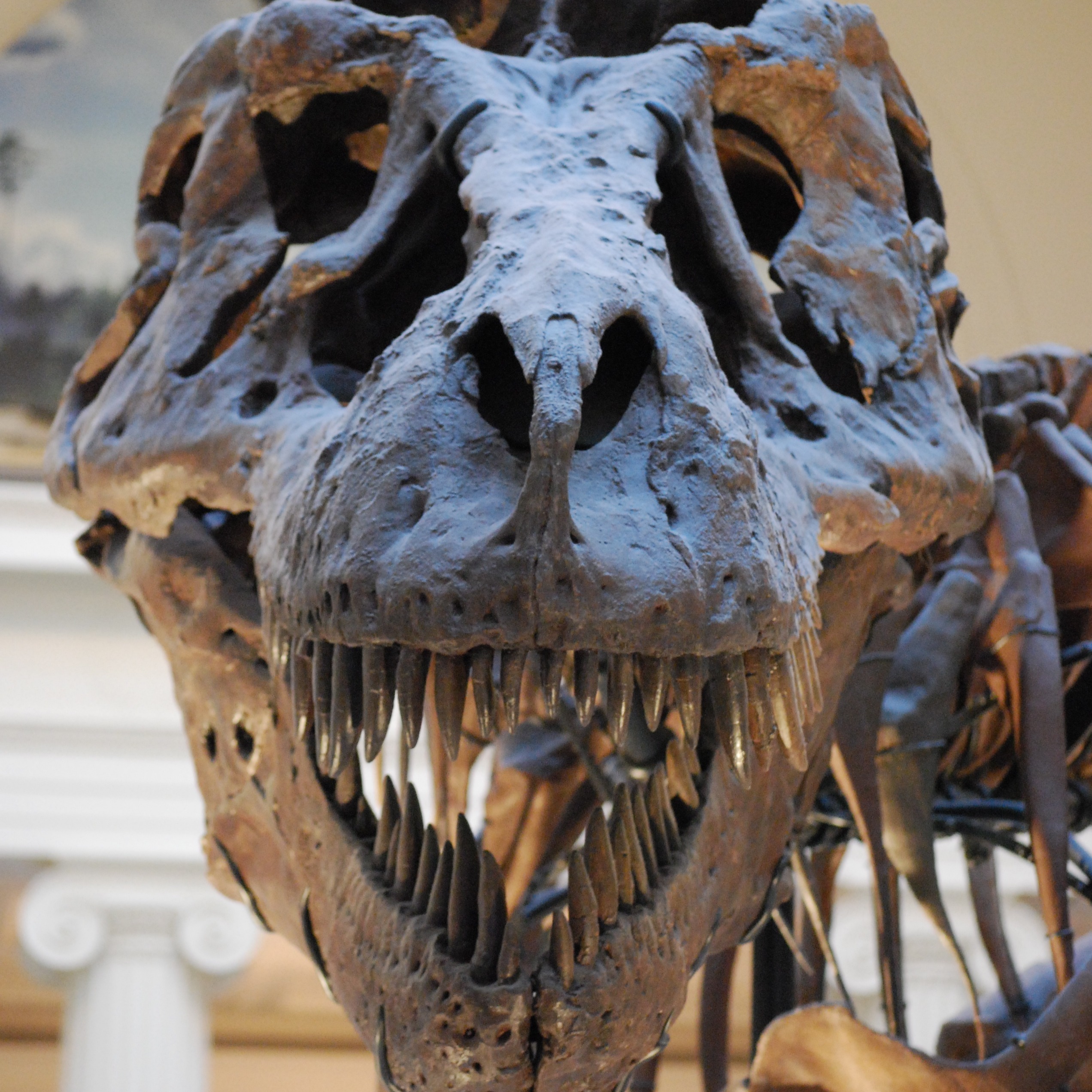 The Creature-Studios Podcast