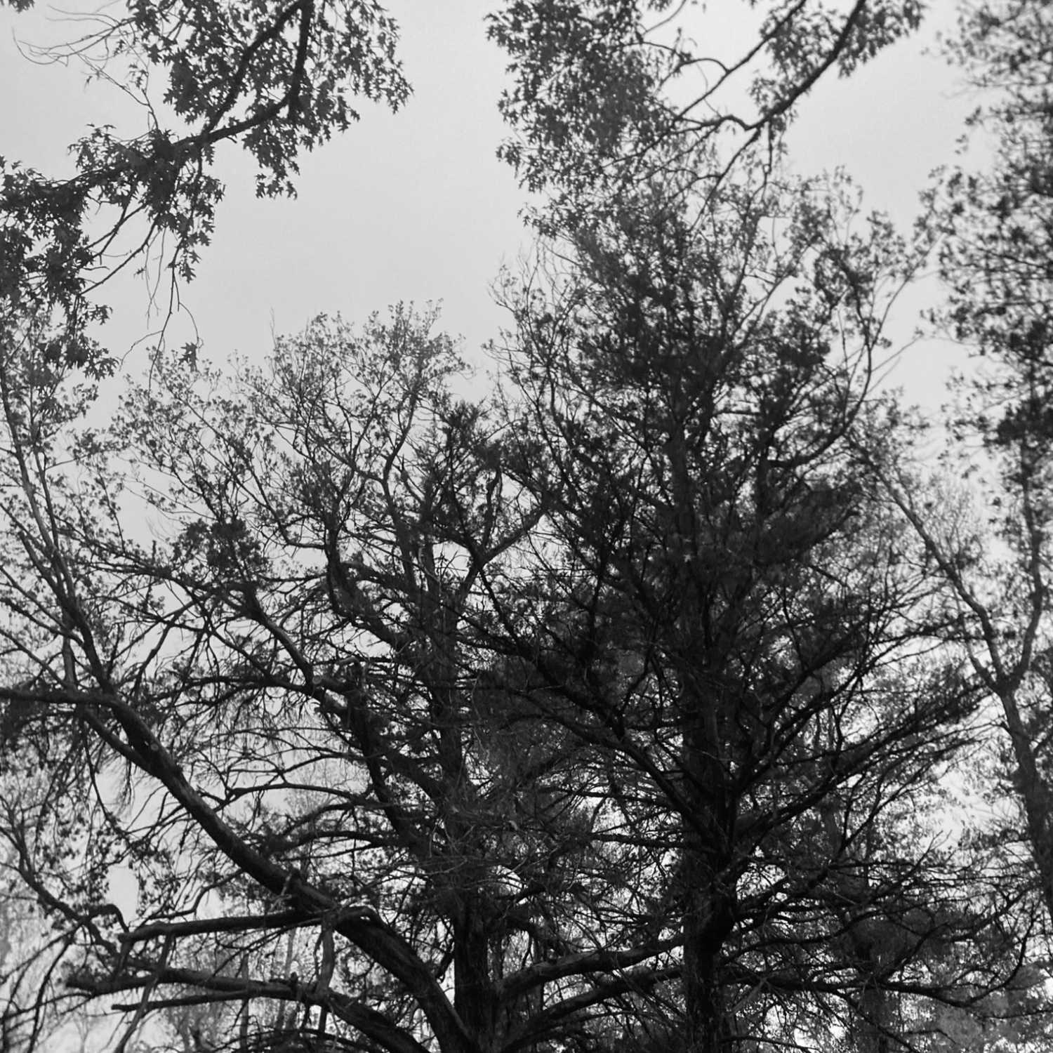 Stories from the Creek