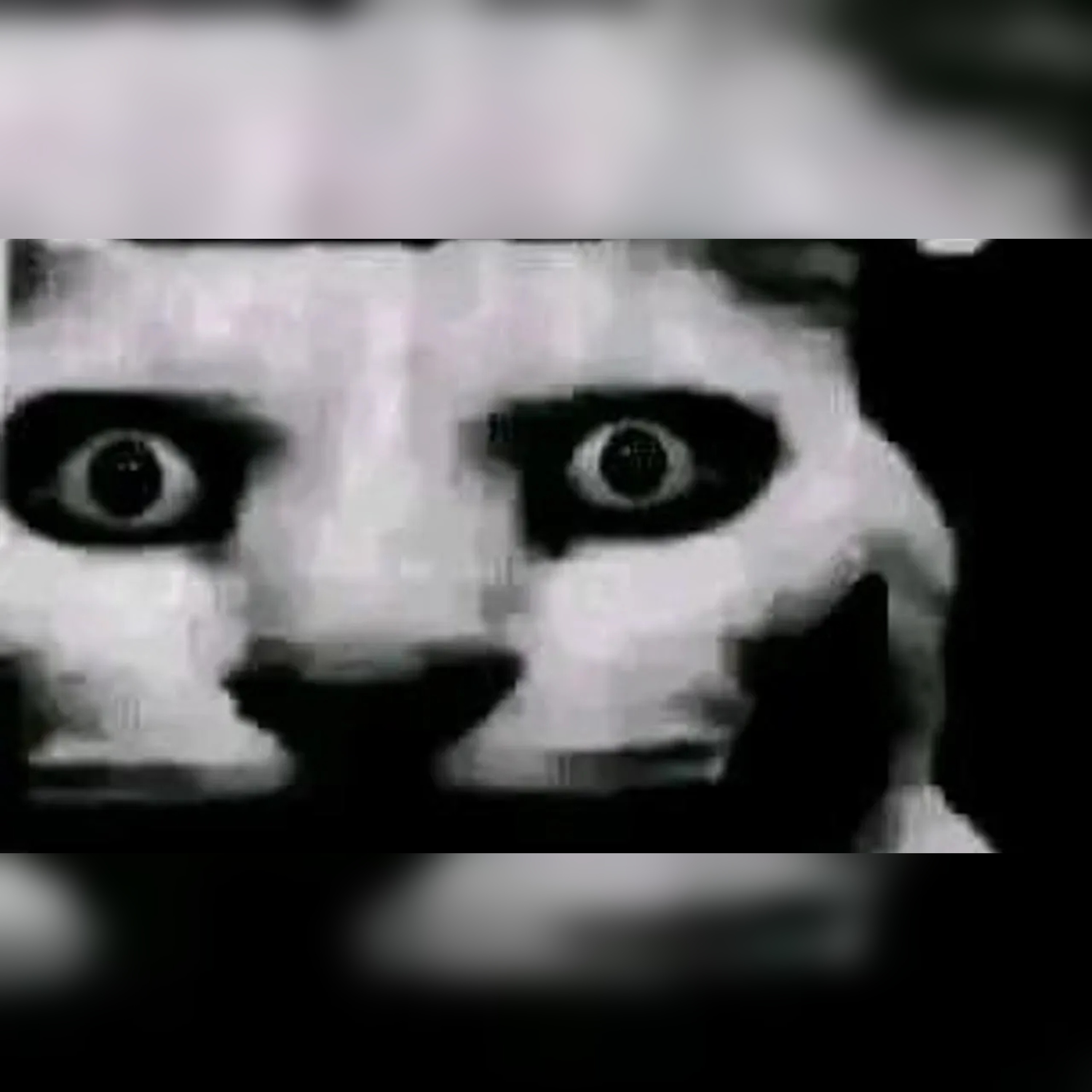 Creepypastas de Fondo: 58 Tareas a las 11 PM | Ep. 4 episode artwork