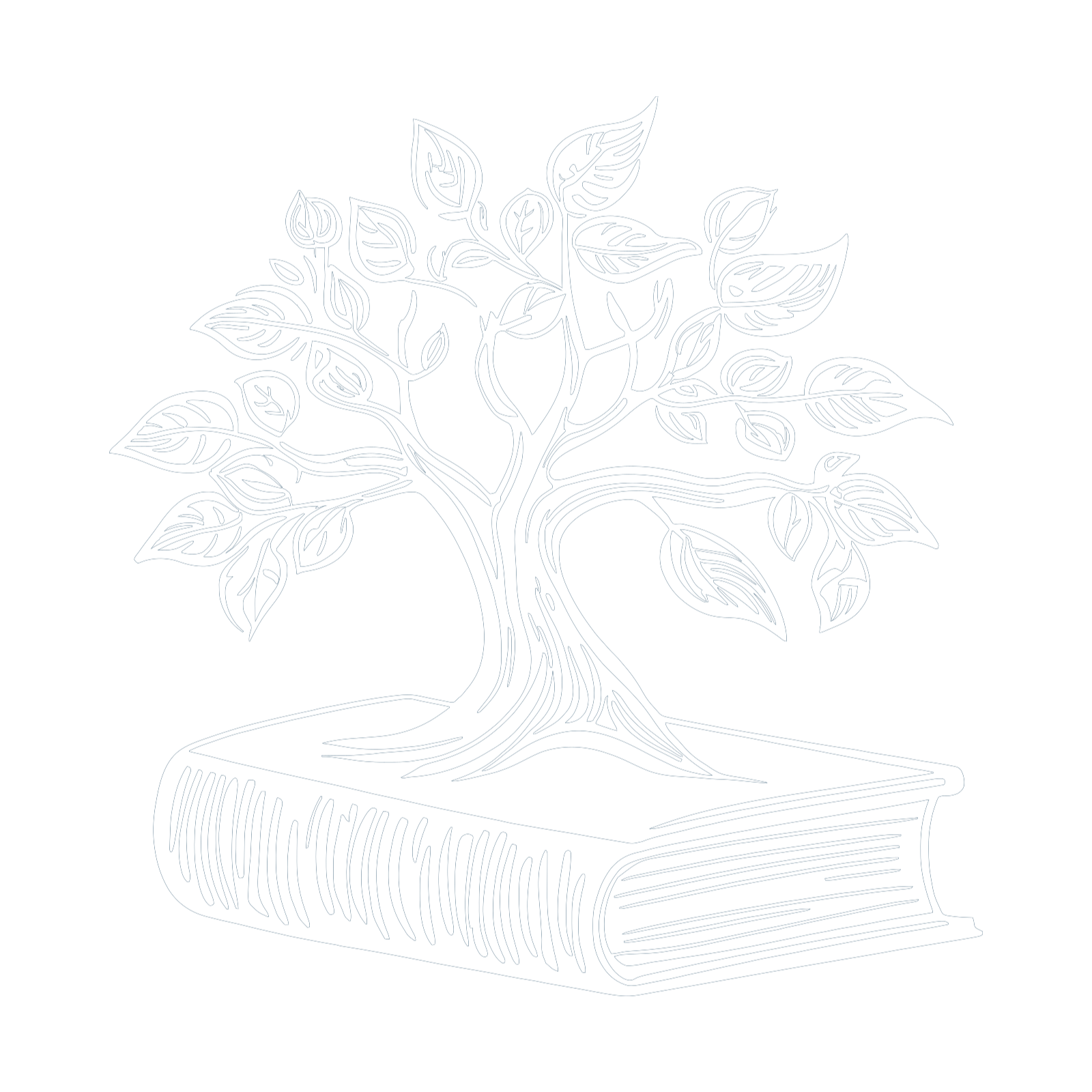 Creștere conștientă în educație / Concious growth in education cover art