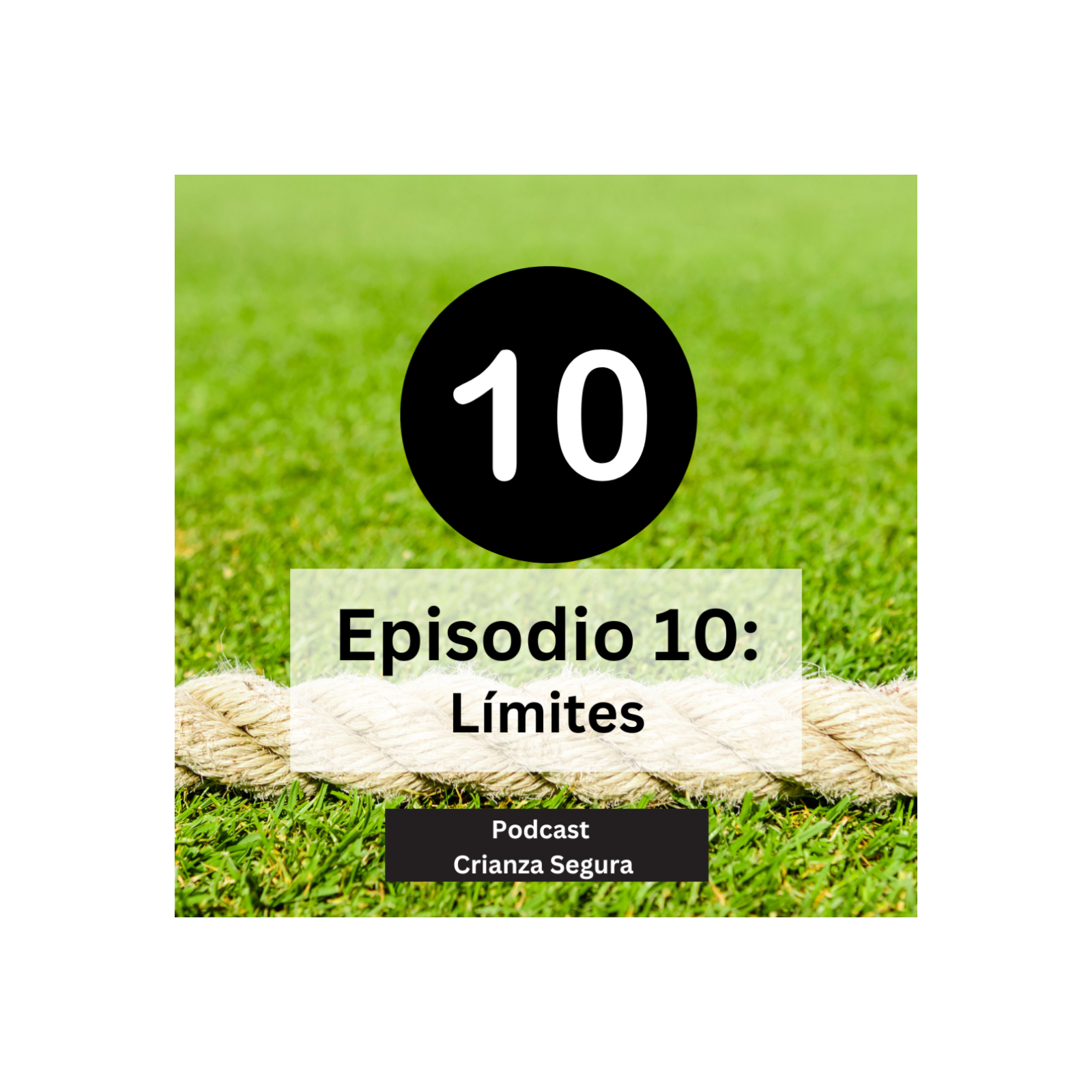 Podcast Crianza Segura - Episodio 10: Límites episode artwork