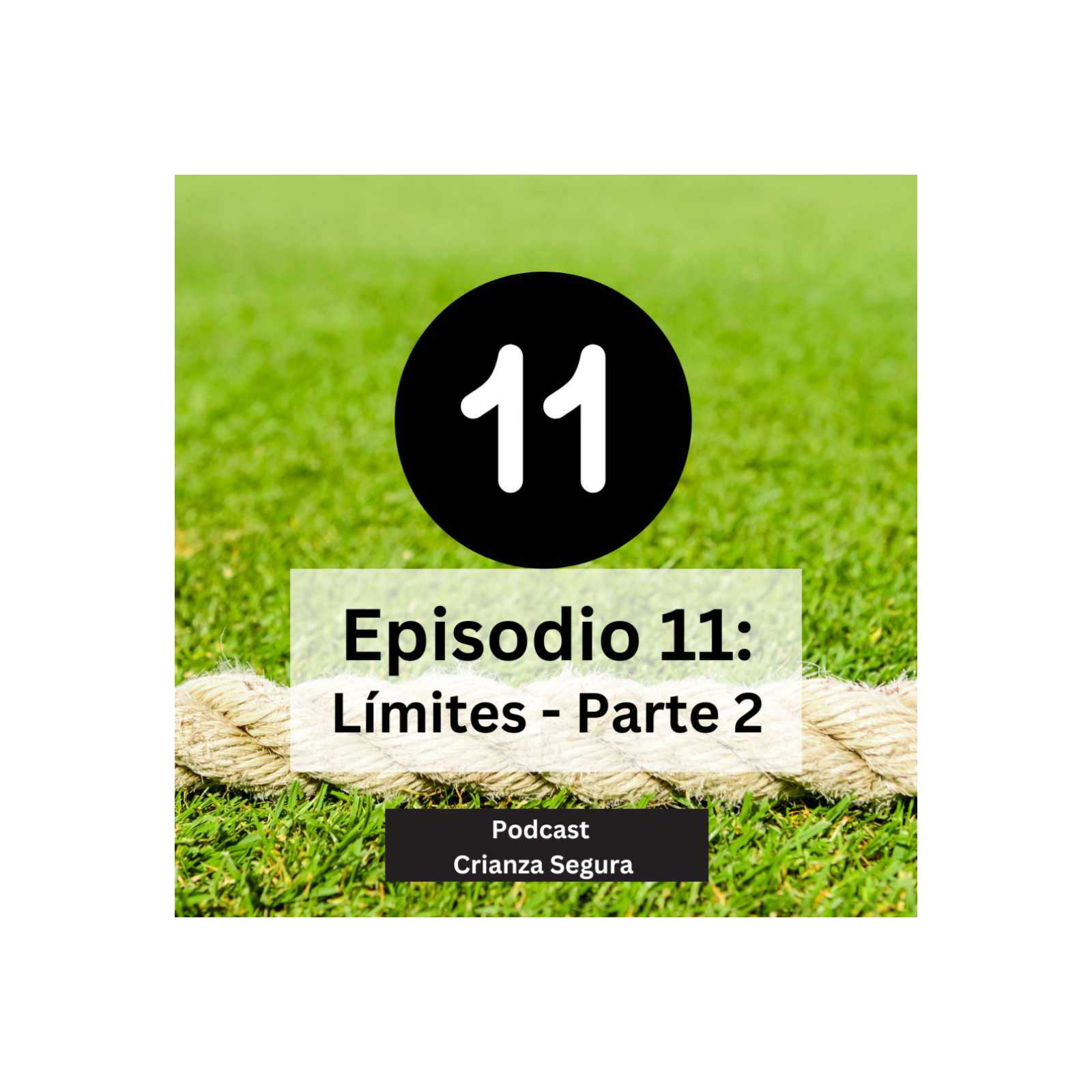 Episodio 11: Límites parte 2 episode artwork