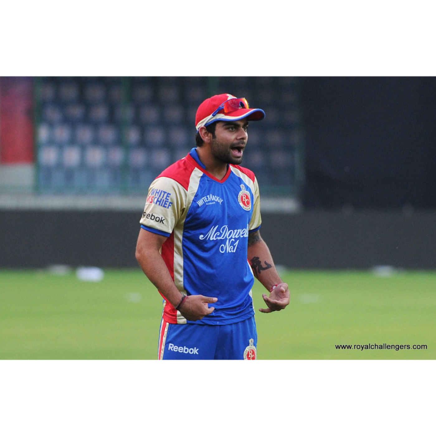 CB Cricket Prediction