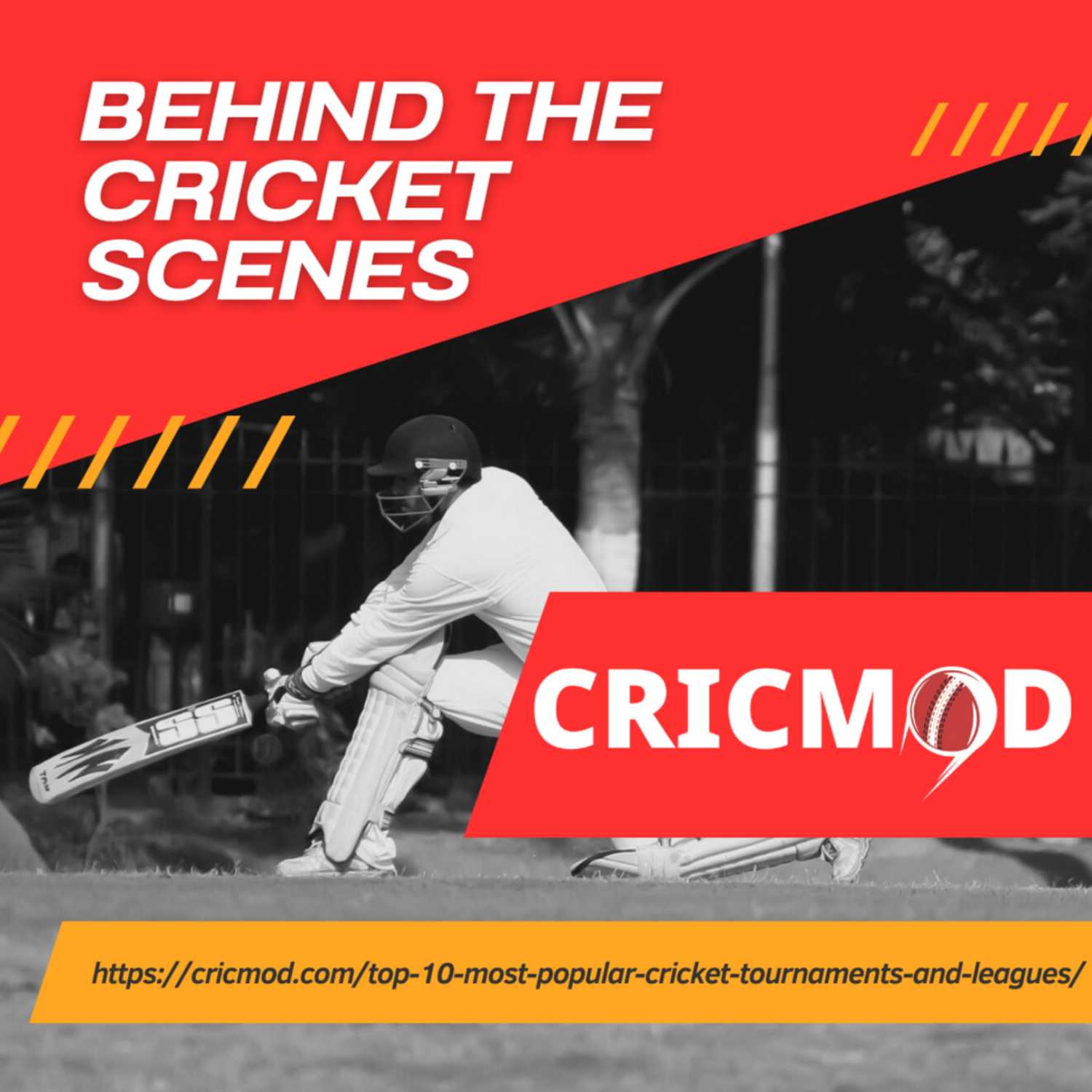 Behind the Cricket Scenes
