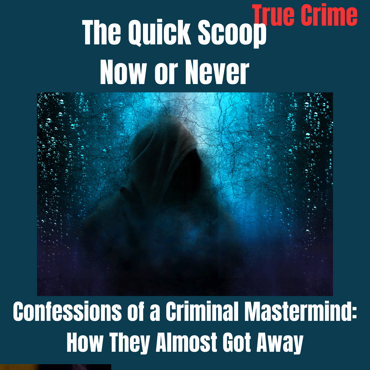 Confessions of a Criminal Mastermind: How They Almost Got Away