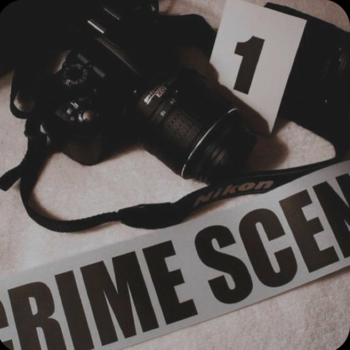 Criminology Project episode artwork