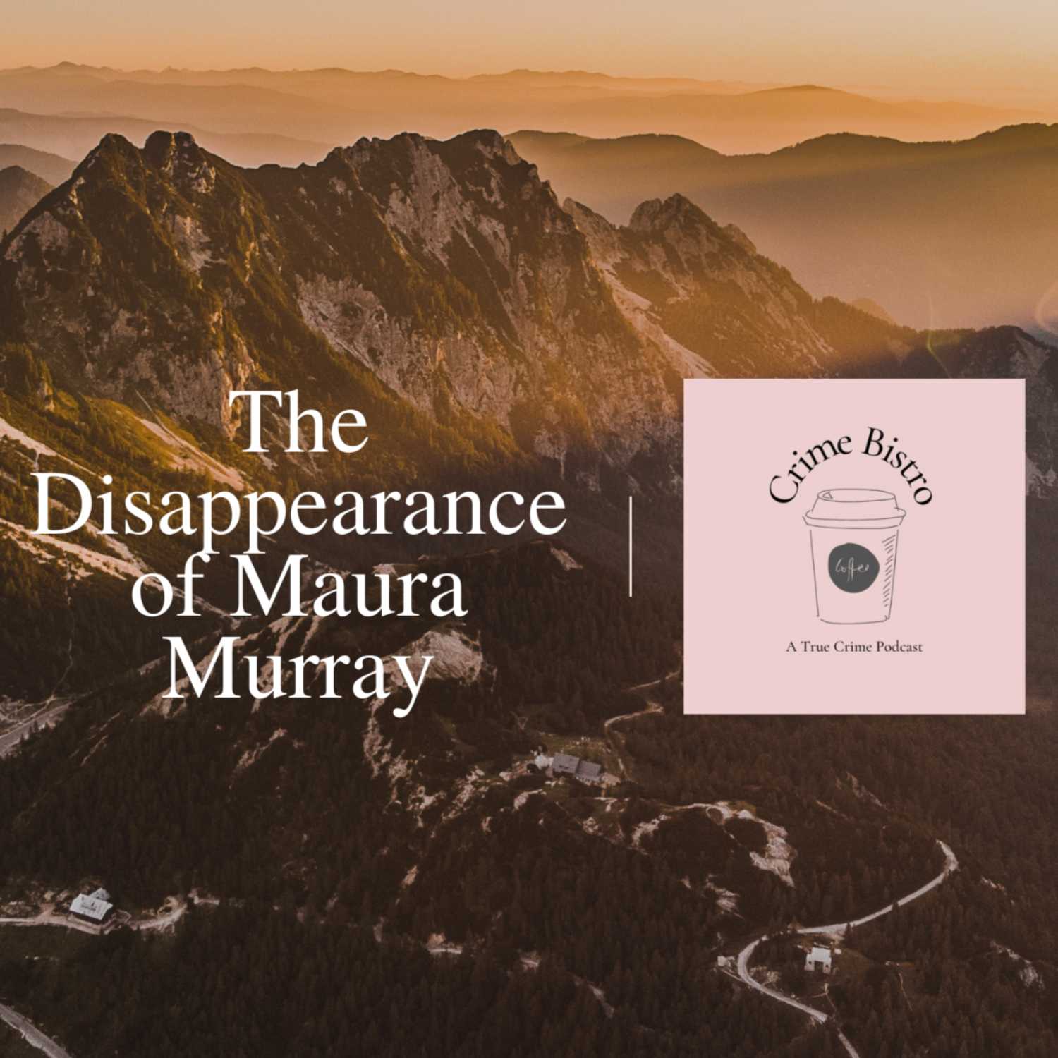 Episode 1: The Disappearance of Maura Murray