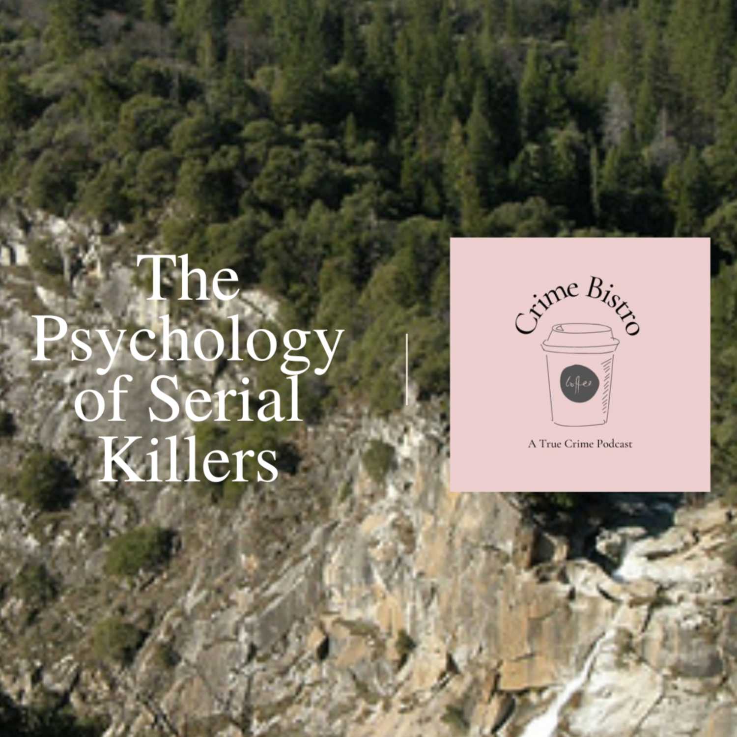 Bonus Episode: The Psychology of Serial Killers 