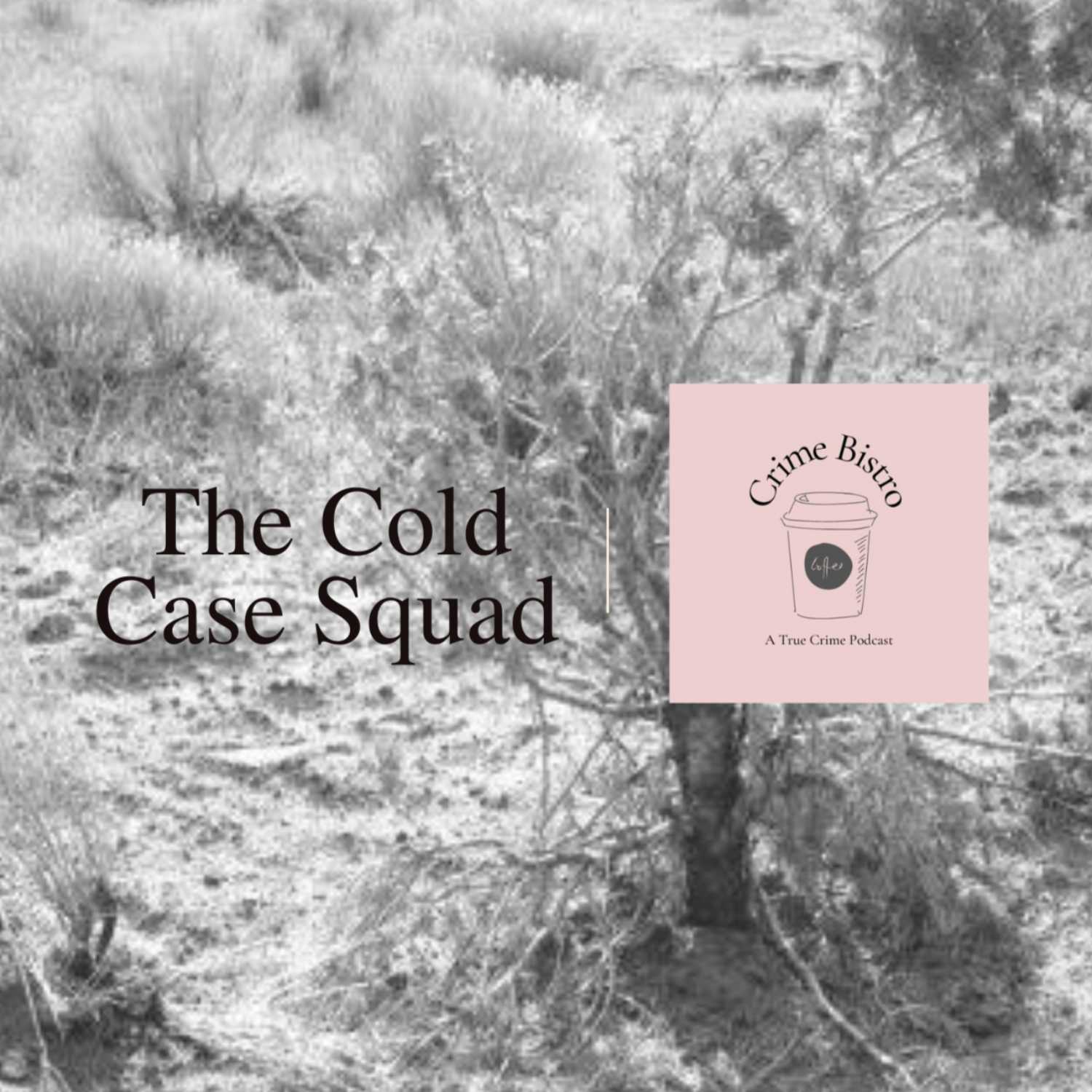 Episode 20: The Cold Case Squad