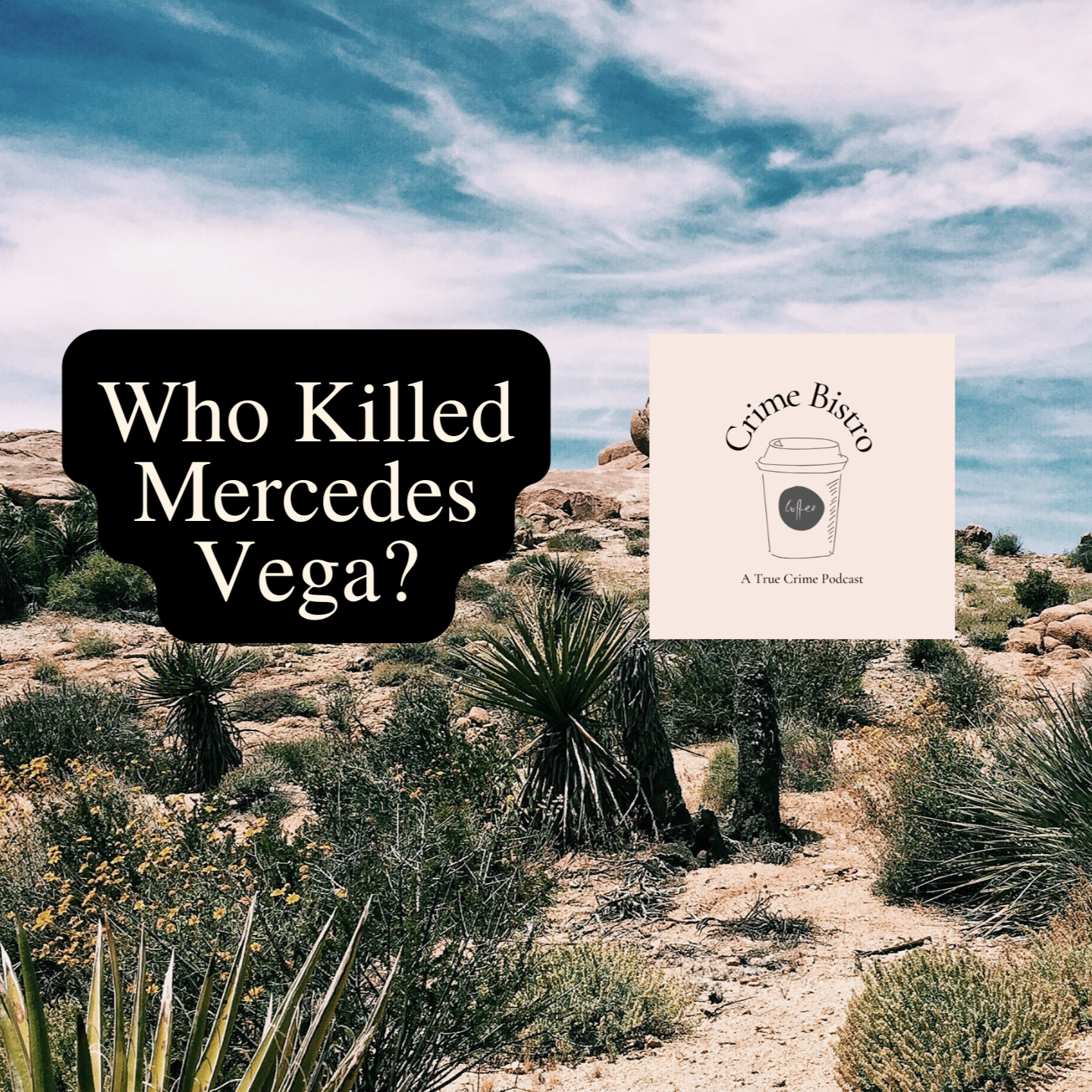 Found Dead in a Burning Car: Who Killed Mercedes Vega?