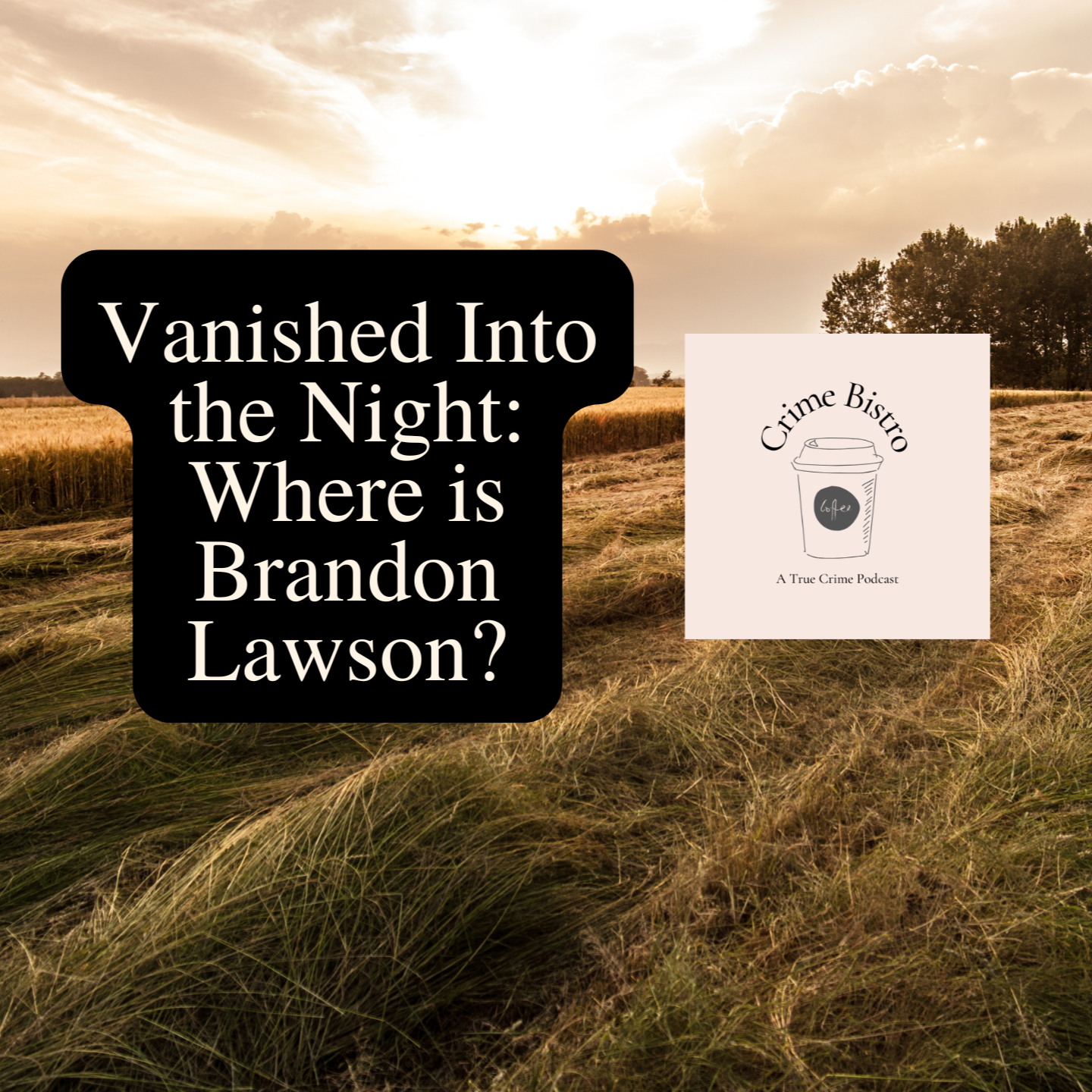 Vanished Into The Night: Where is Brandon Lawson?