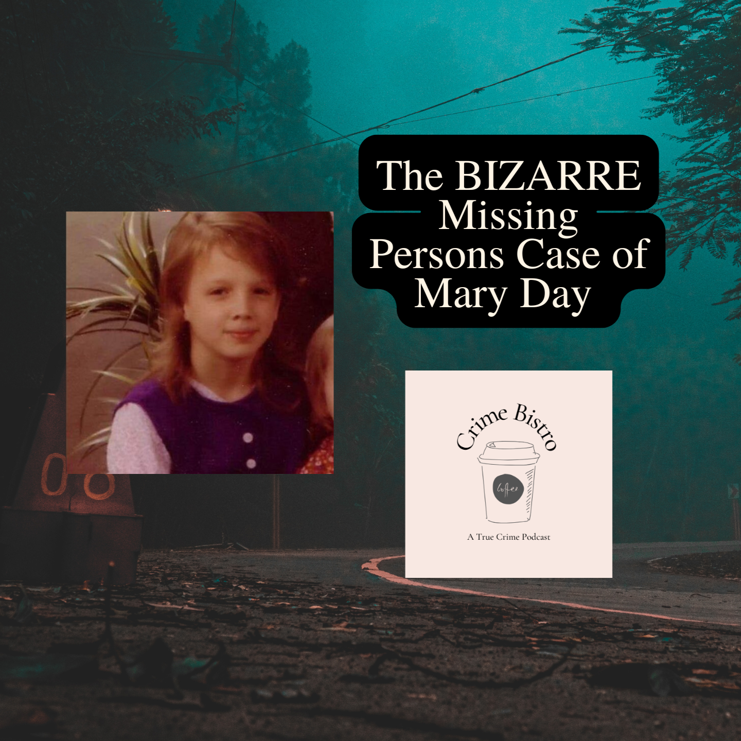 Missing Person, Murder Victim, or Impersonator? The Bizarre Case of Mary Day