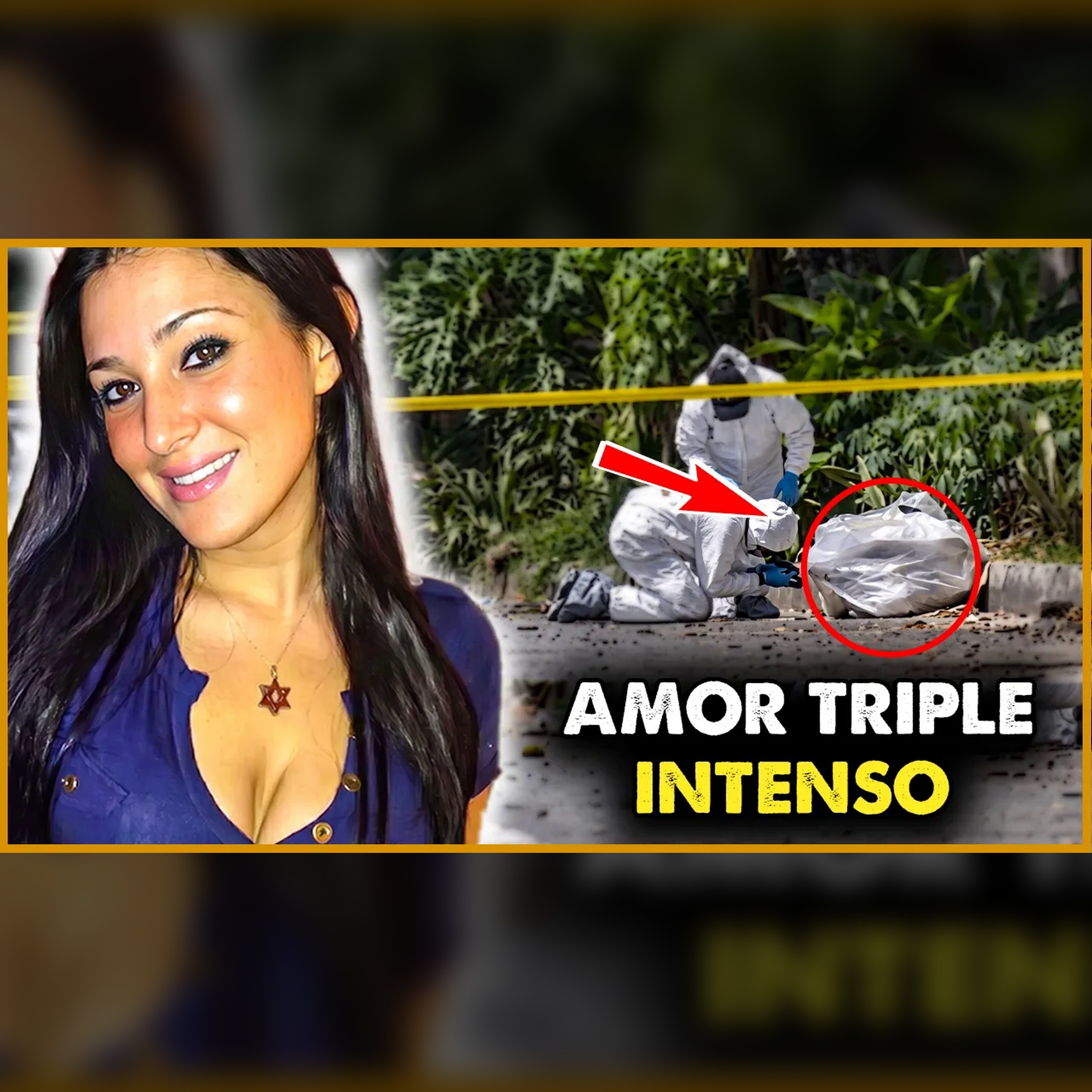 Danielle: el caso brutal que conmocionó a los detectives episode artwork