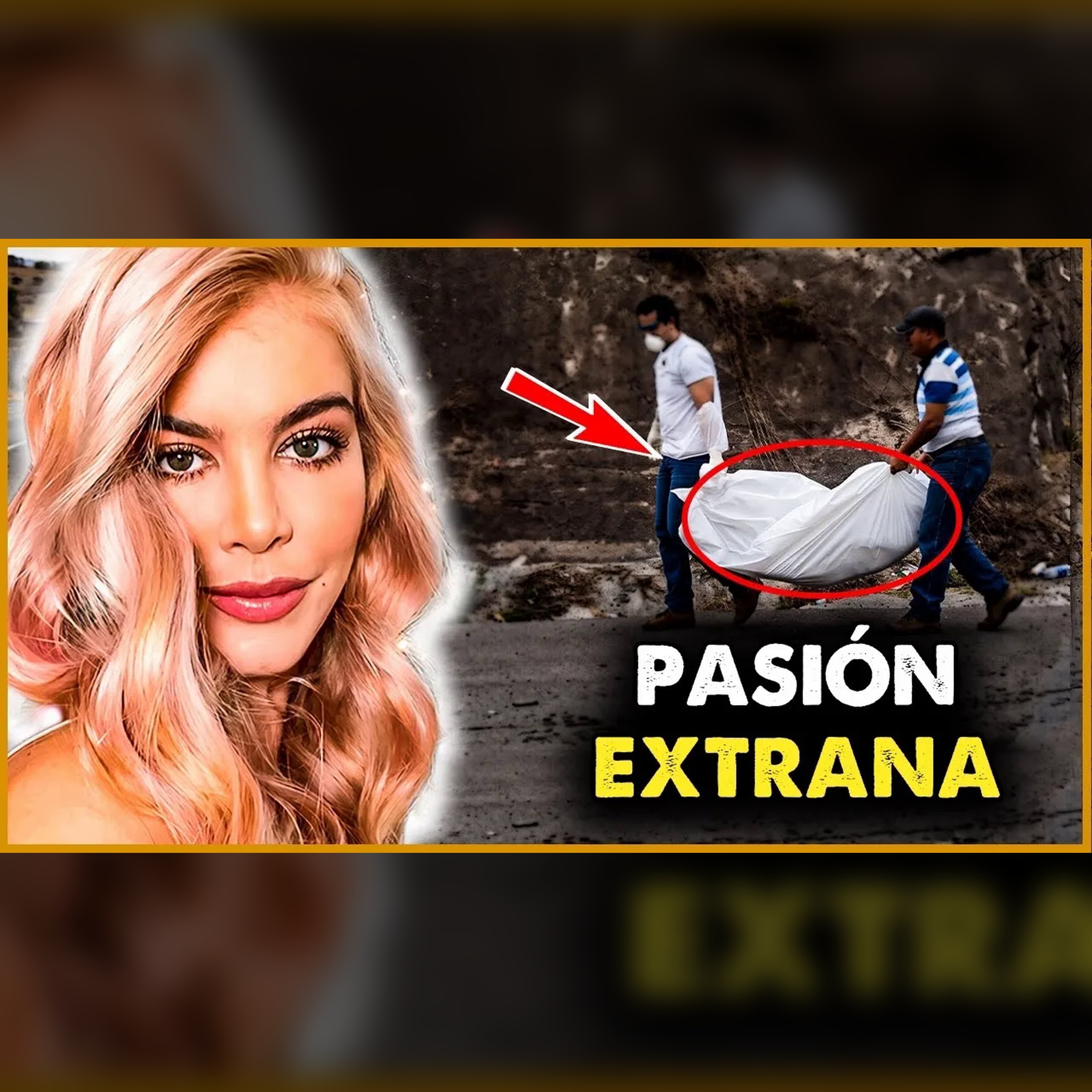 Modelo brasileña, obsesión mortal y diez víctimas: episodio #8 episode artwork