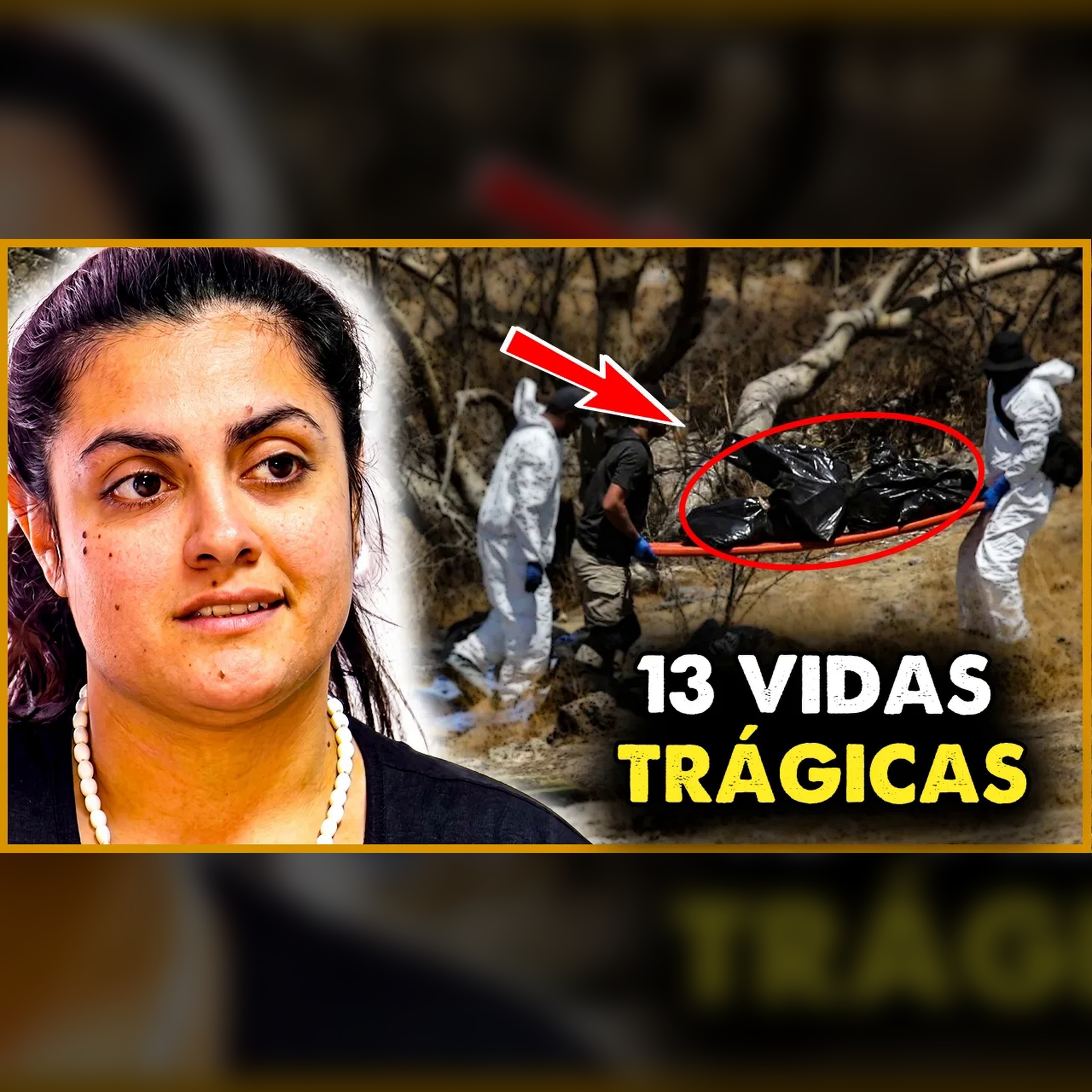 La red de mentiras de una esposa: más de 10 vidas perdidas episode artwork