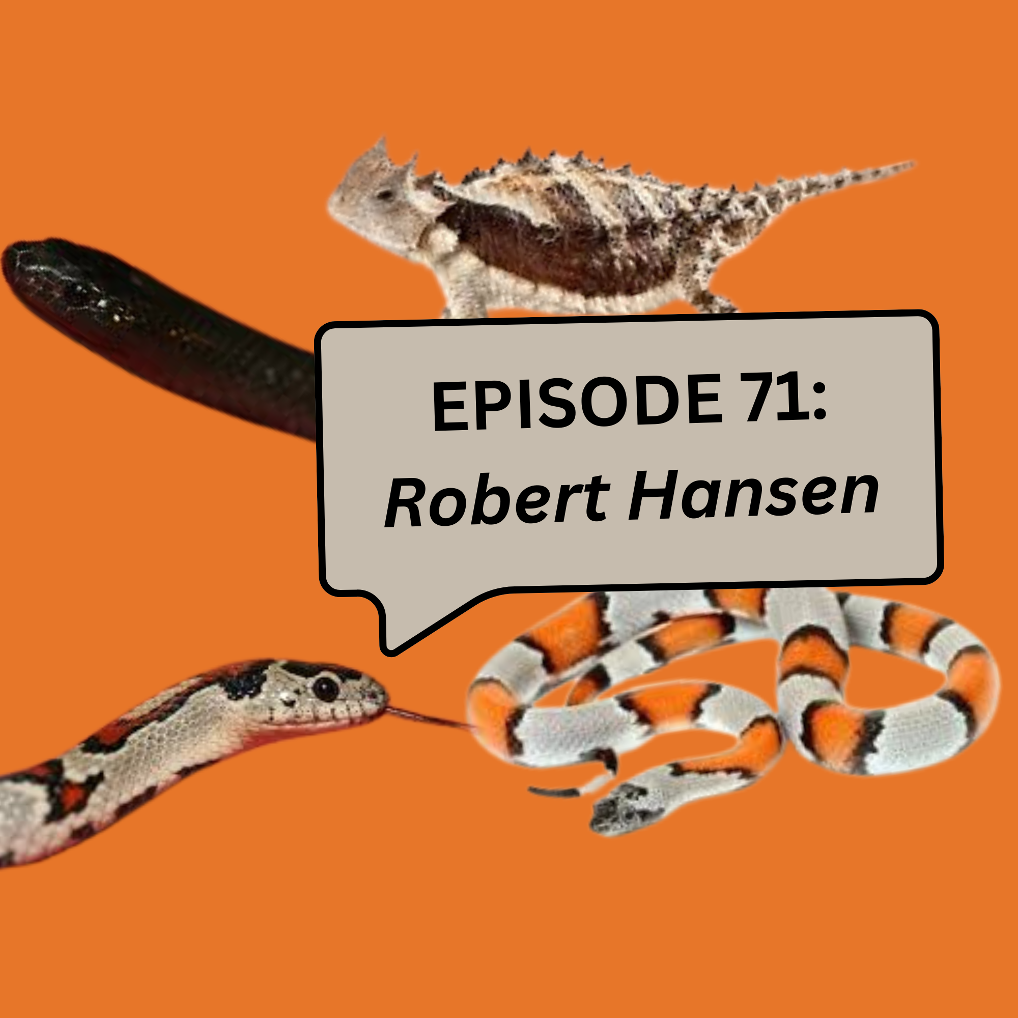 CrocKast Podcast