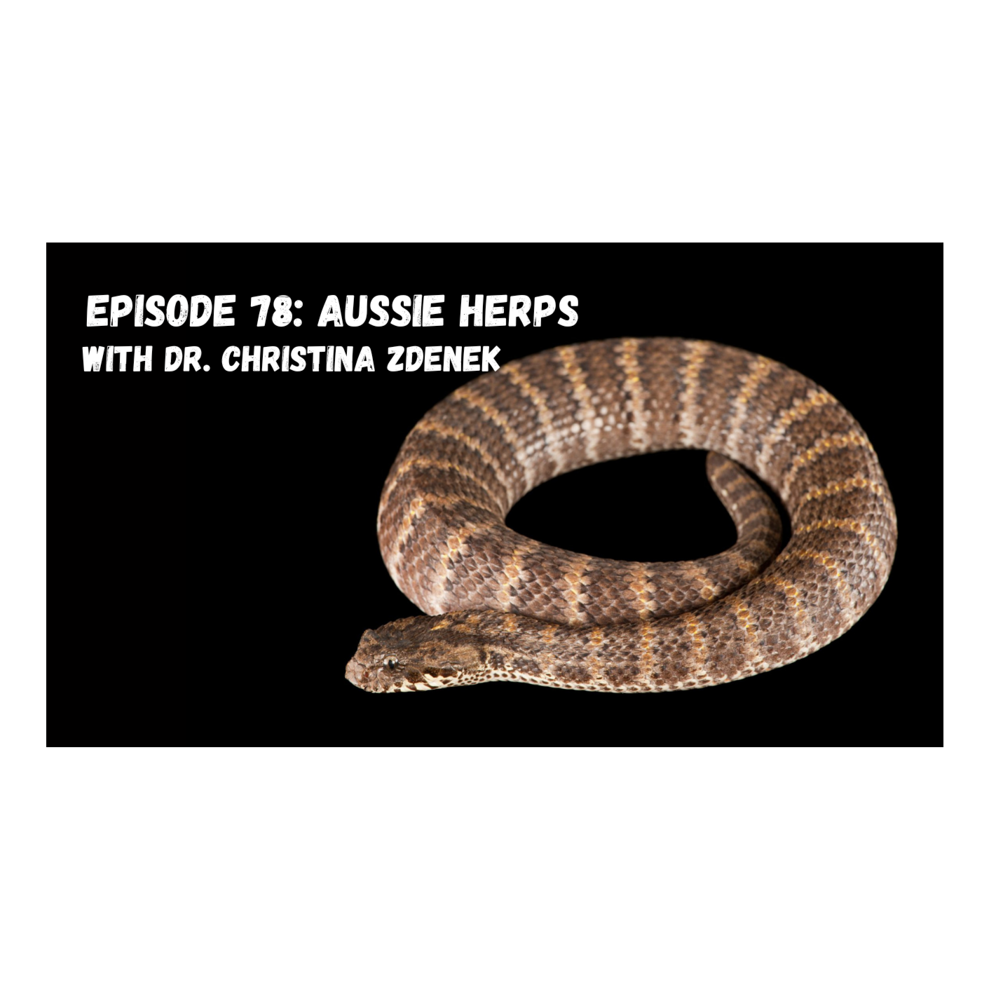 CrocKast Podcast