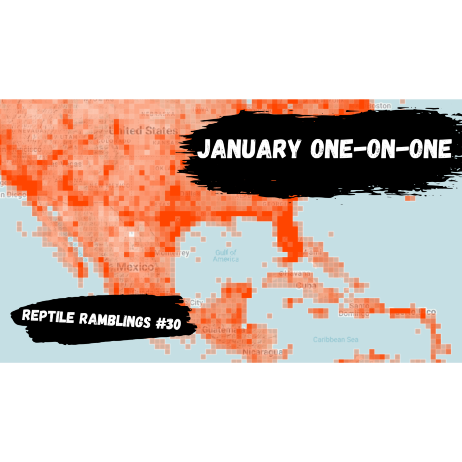 January One-on-One | Reptile Ramblings #30
