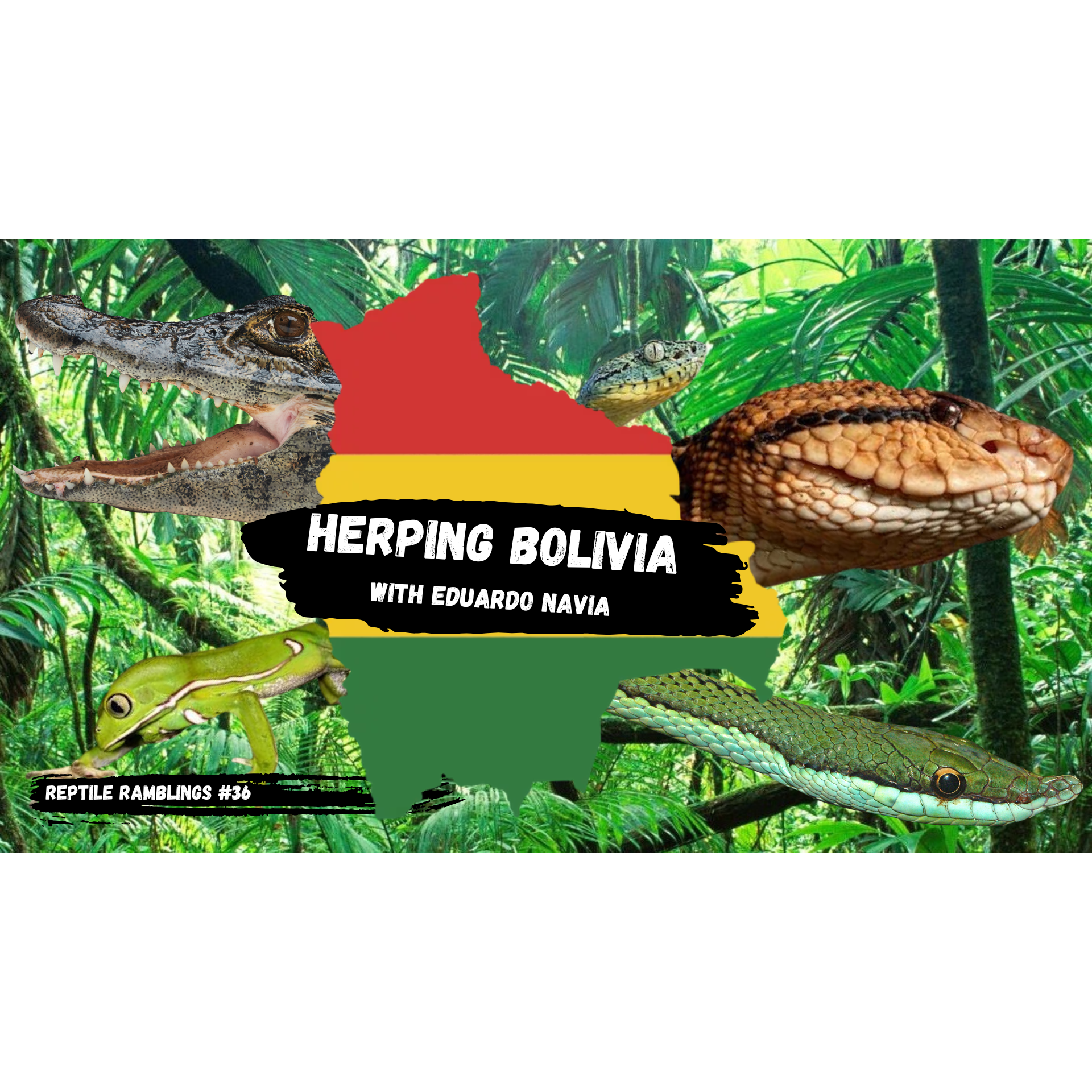 Herping Bolivia with Eduardo Navia | Reptile Ramblings #36 episode artwork