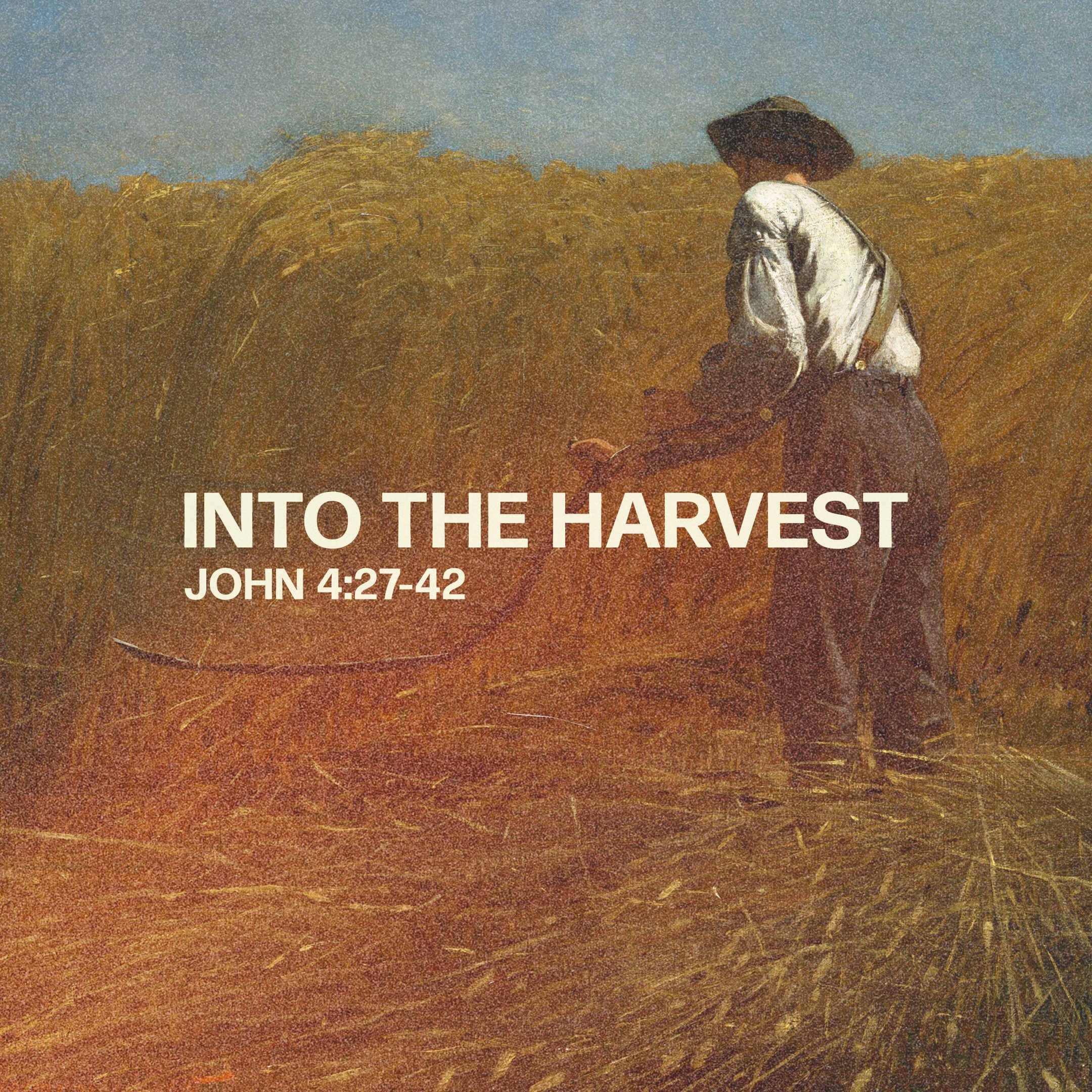 Into the Harvest - Jume 29, 2025