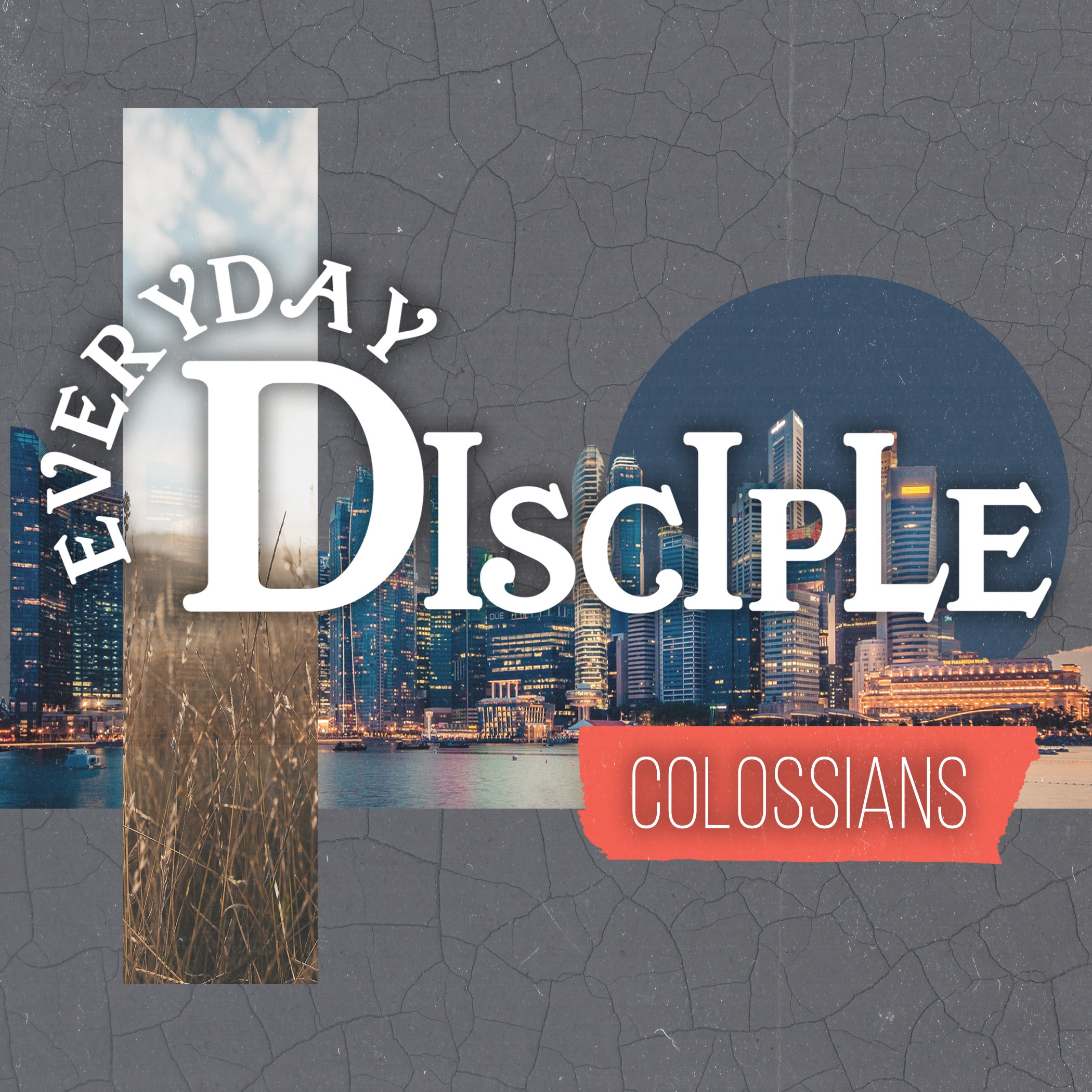 Everyday Disciple: Christ in Our Fruit