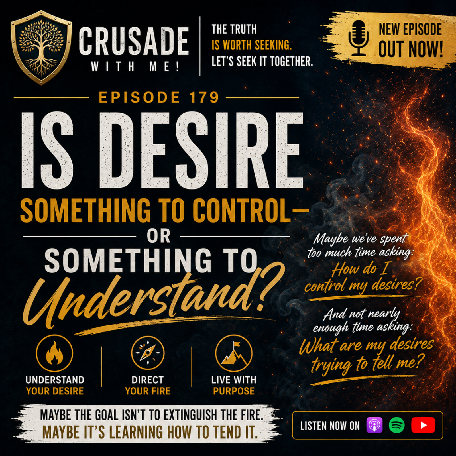 Is Desire Something to Control Or Something To Understand? episode artwork