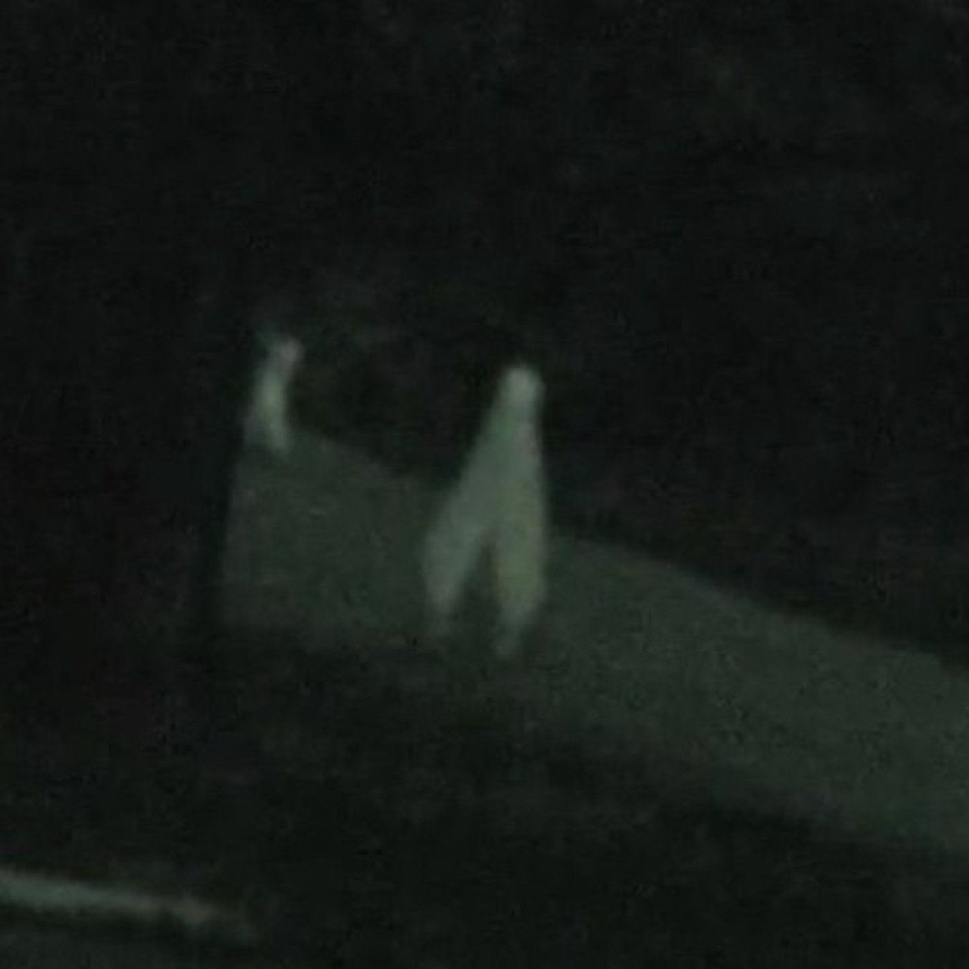 A Cryptid that looks like a pair of Walking Pants?