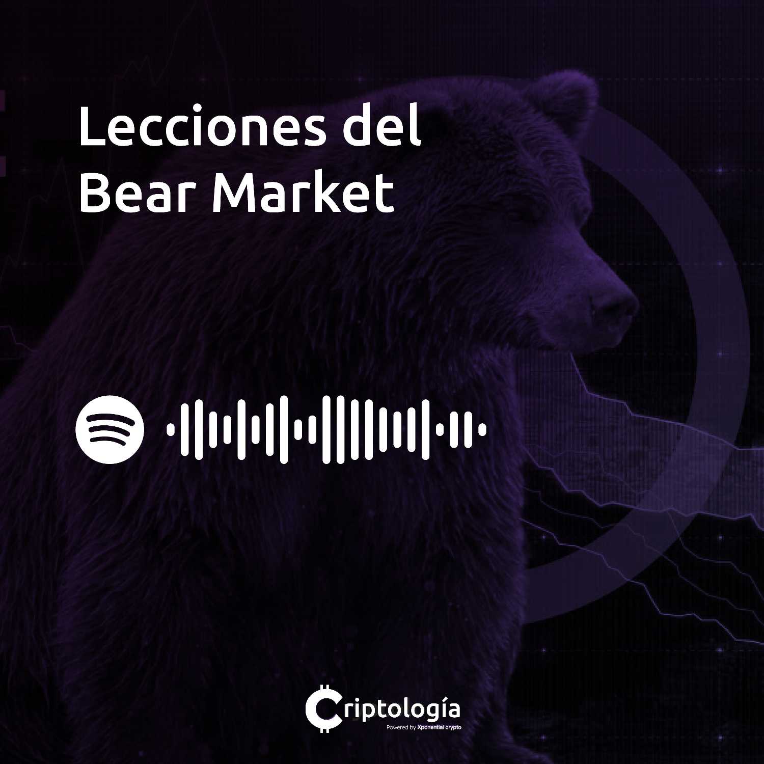 Lecciones del Bear Market