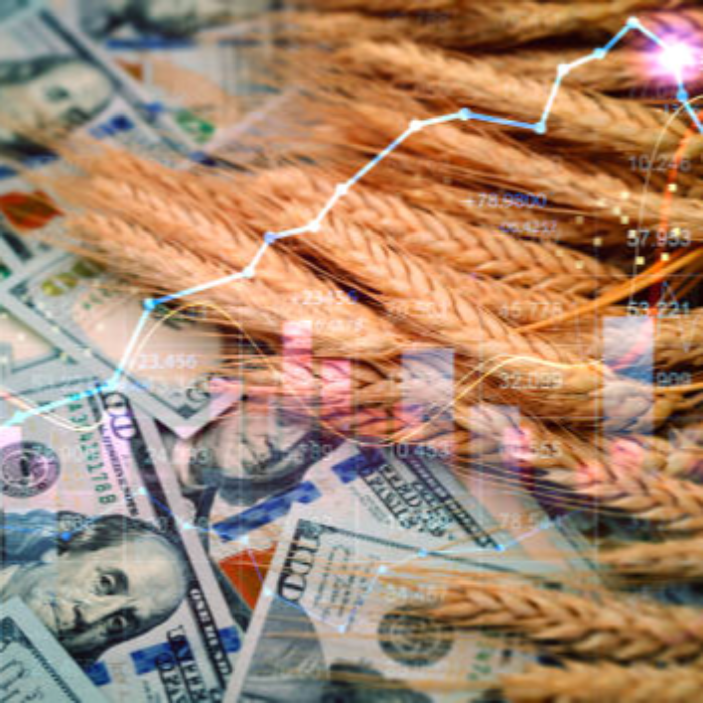 Financial Market Insights For Traders | Crystal Ball Markets