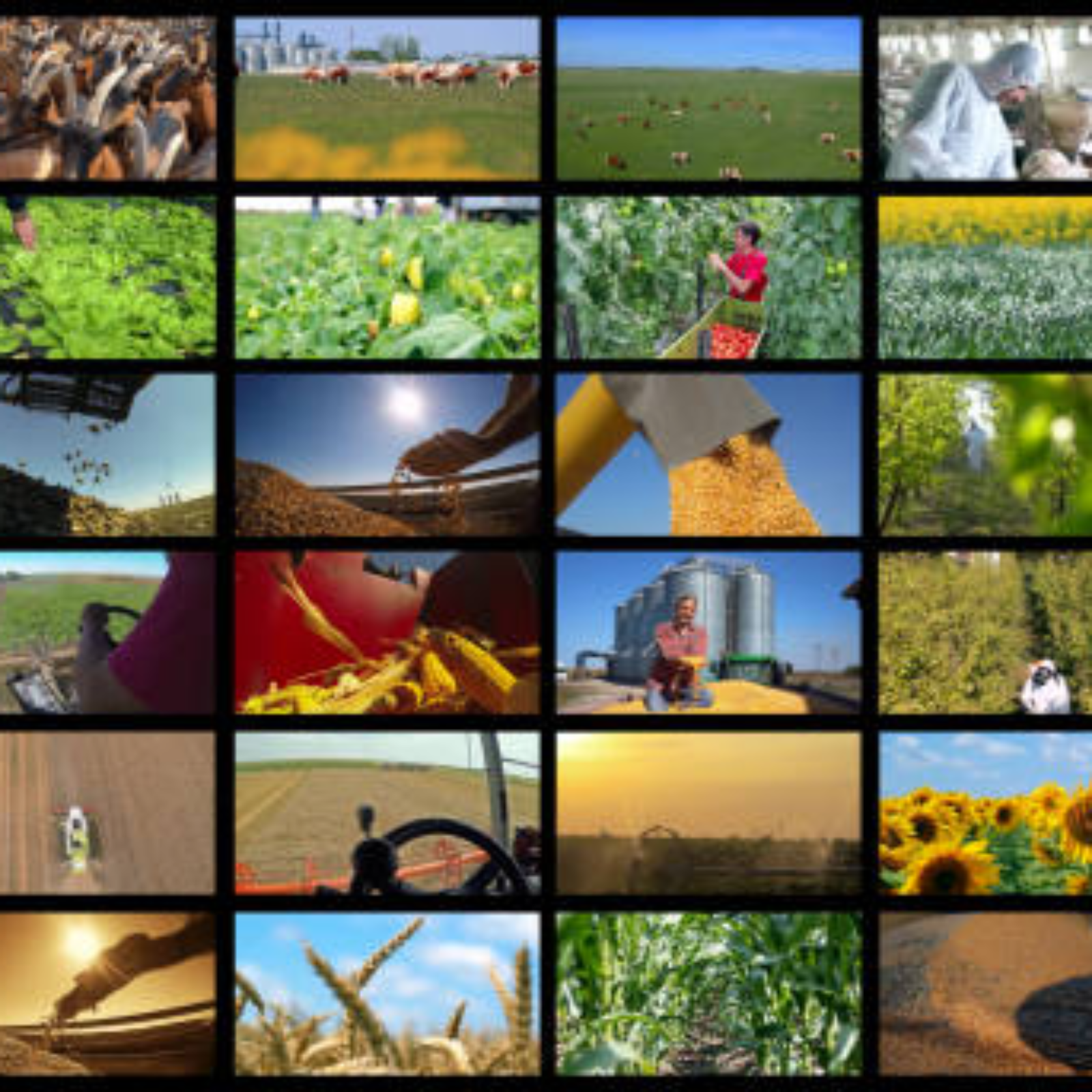 Agriculture Commodities in 2026: Food Inflation, Climate Shocks & New Trading Opportunities | Crystal Ball Markets episode artwork