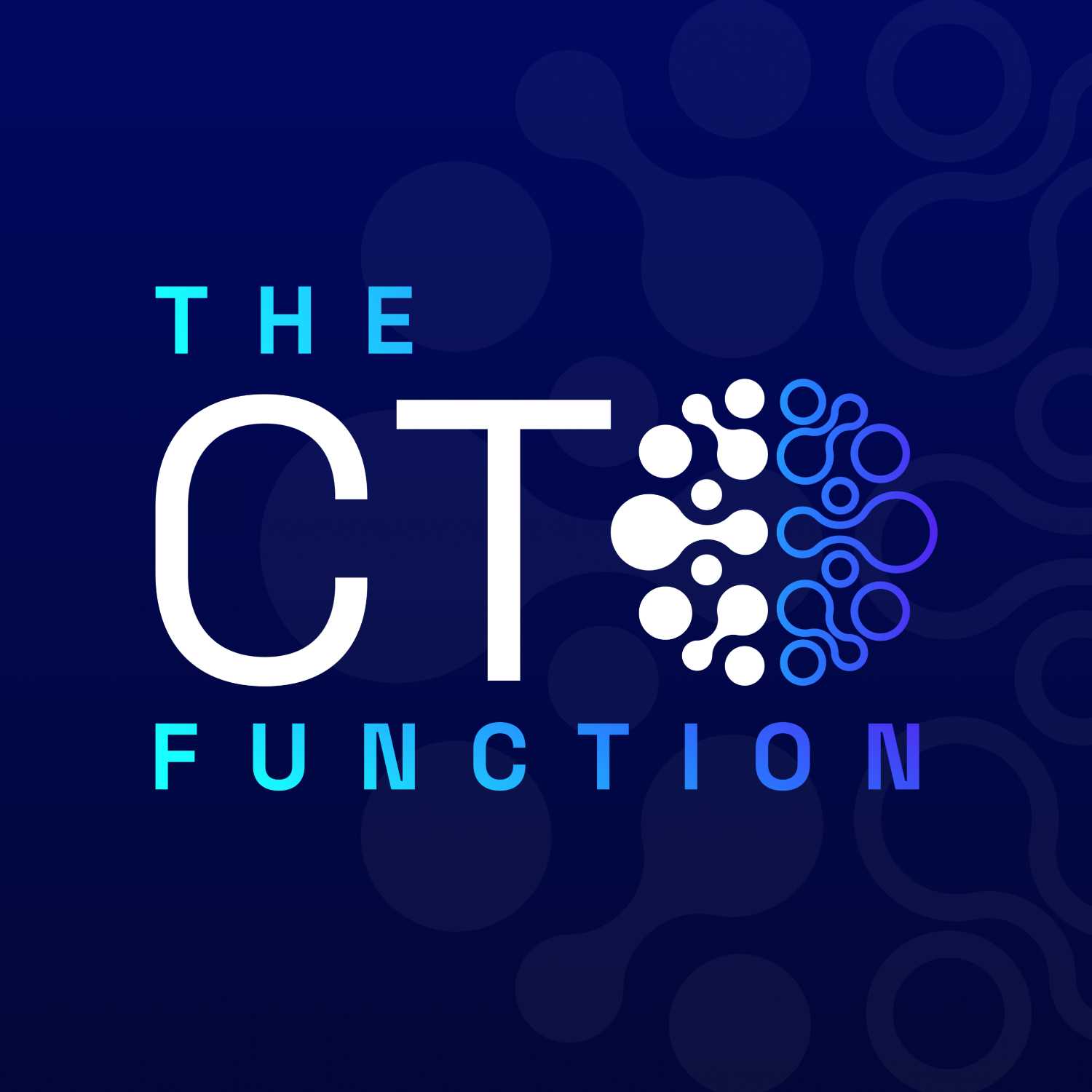 The CTO Function - podcast cover