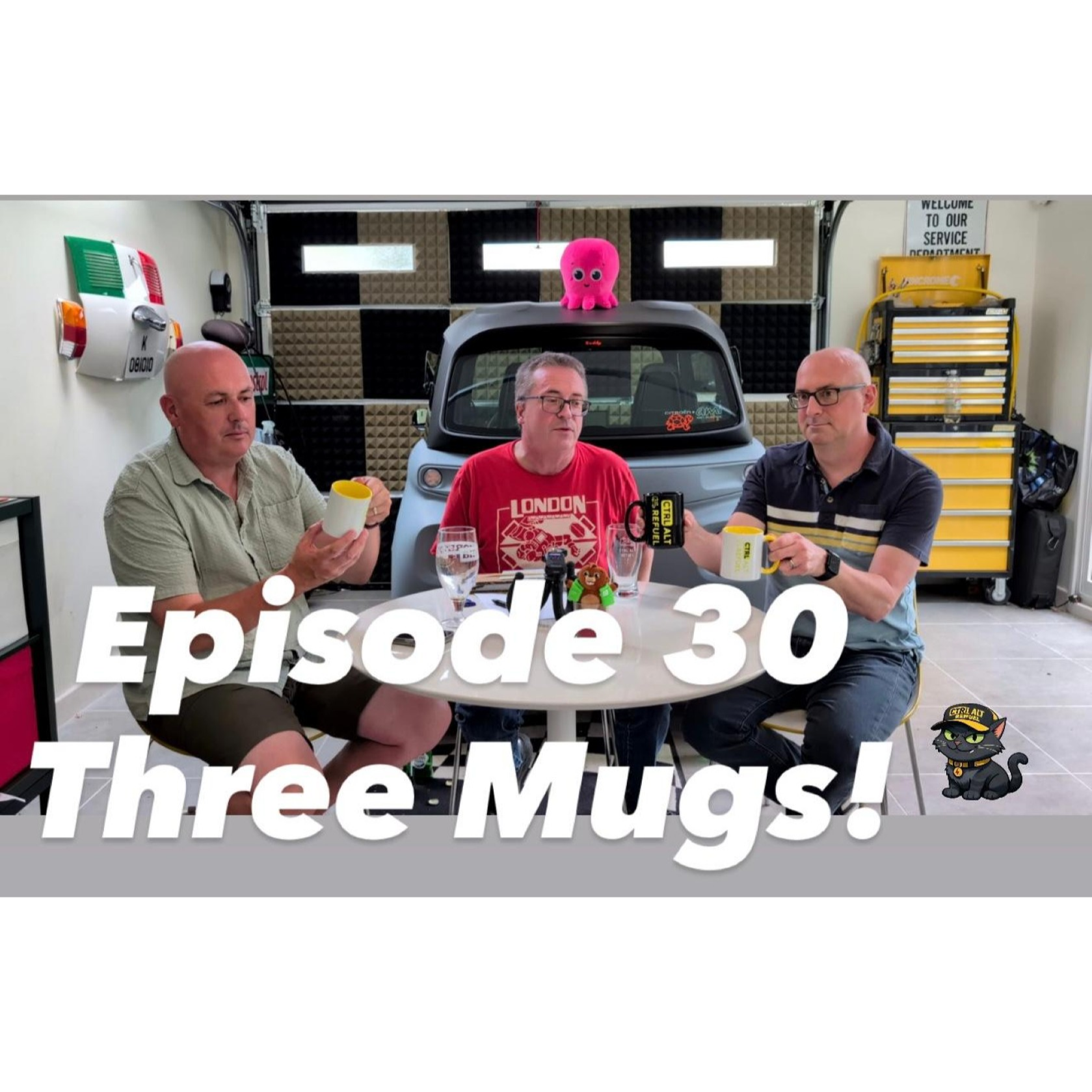 Our first in-person viewer Q&A: Must-Have EV Features, LEAF Batteries & Detective Cars