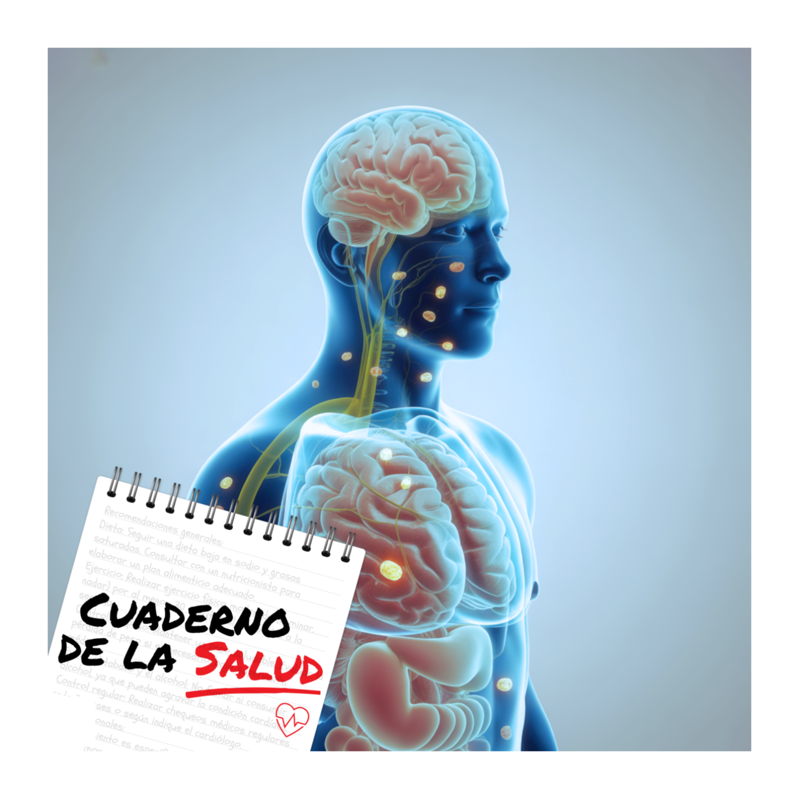  Células madre: lo que hoy sí se puede hacer (y lo que no)