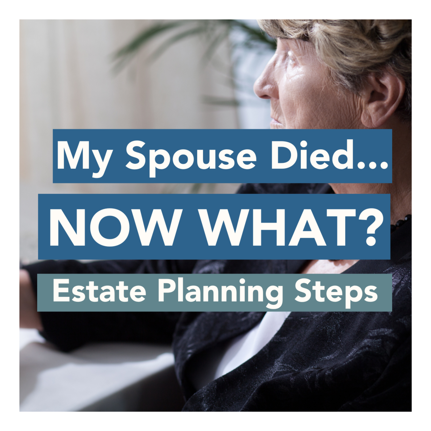 Estate Planning for Widows & Widowers: When Your Spouse Dies episode artwork