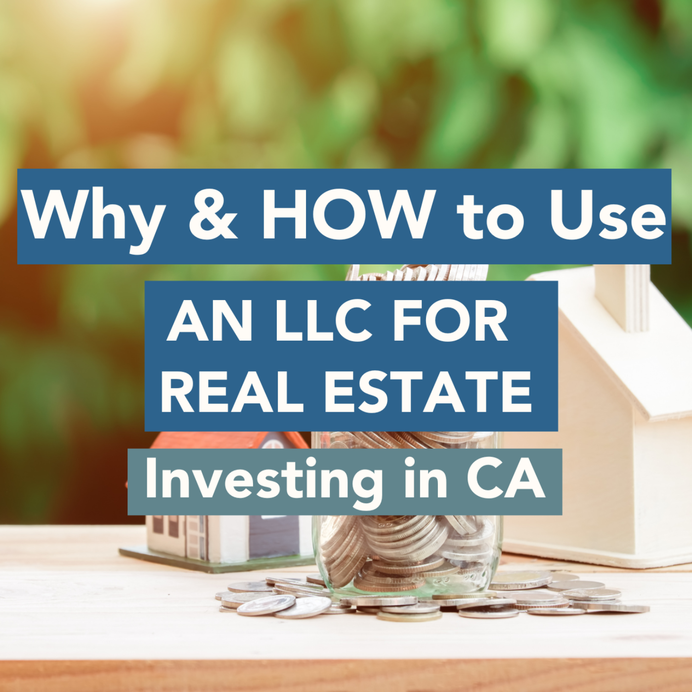 Savvy Estate Planning