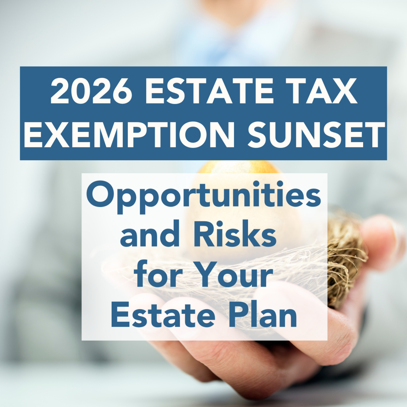 Savvy Estate Planning