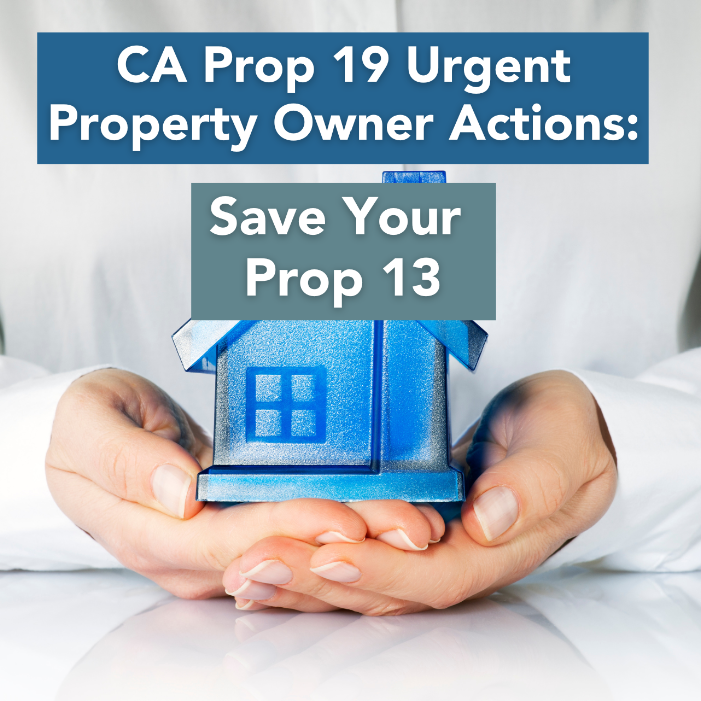 Savvy Estate Planning