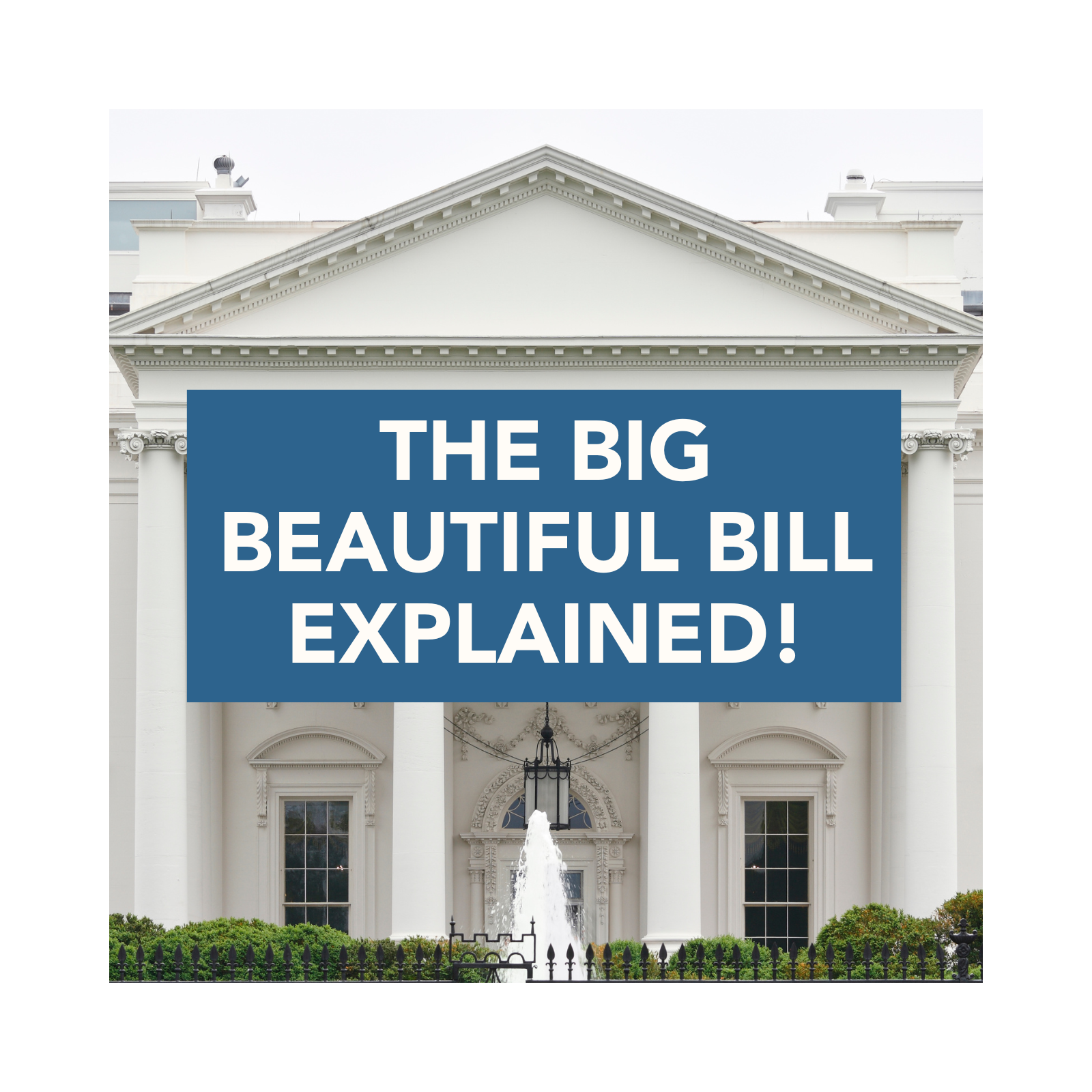 Savvy Estate Planning