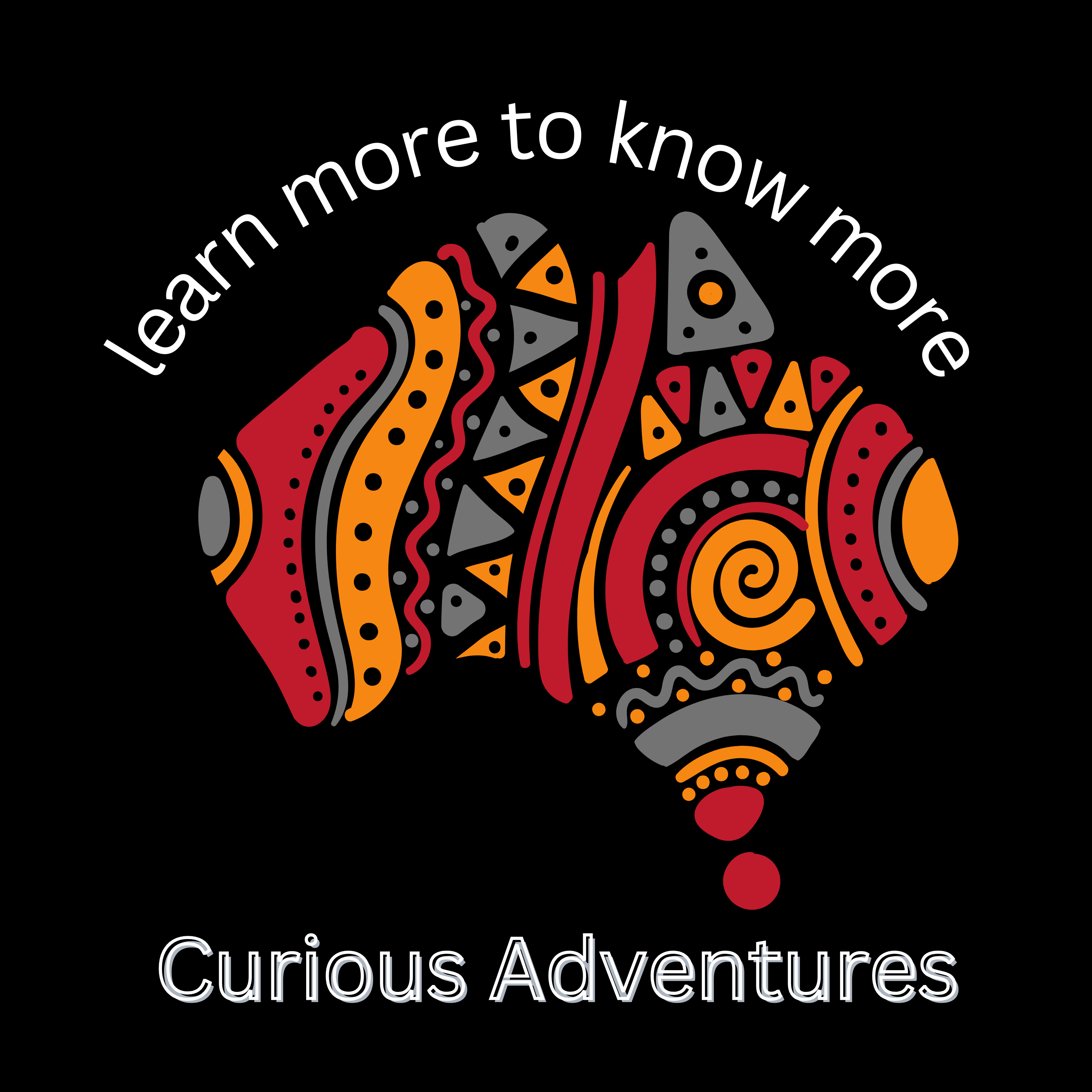 CURIOUS ADVENTURES