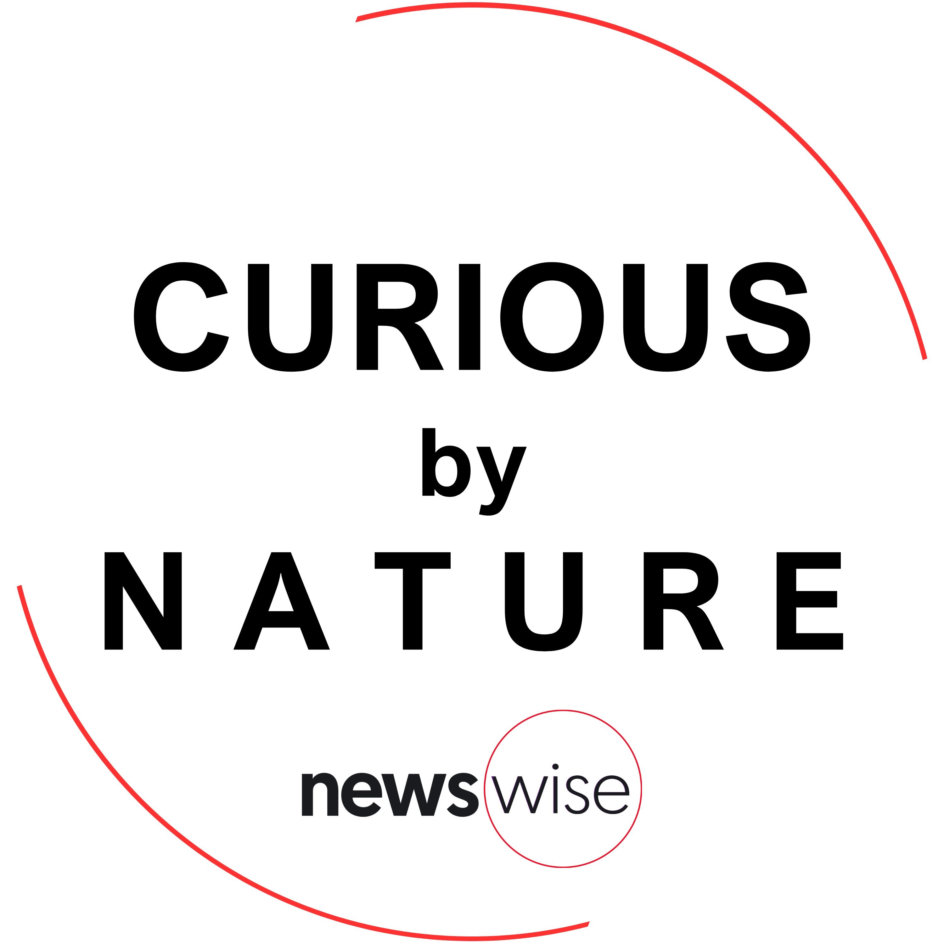 Curious by Nature