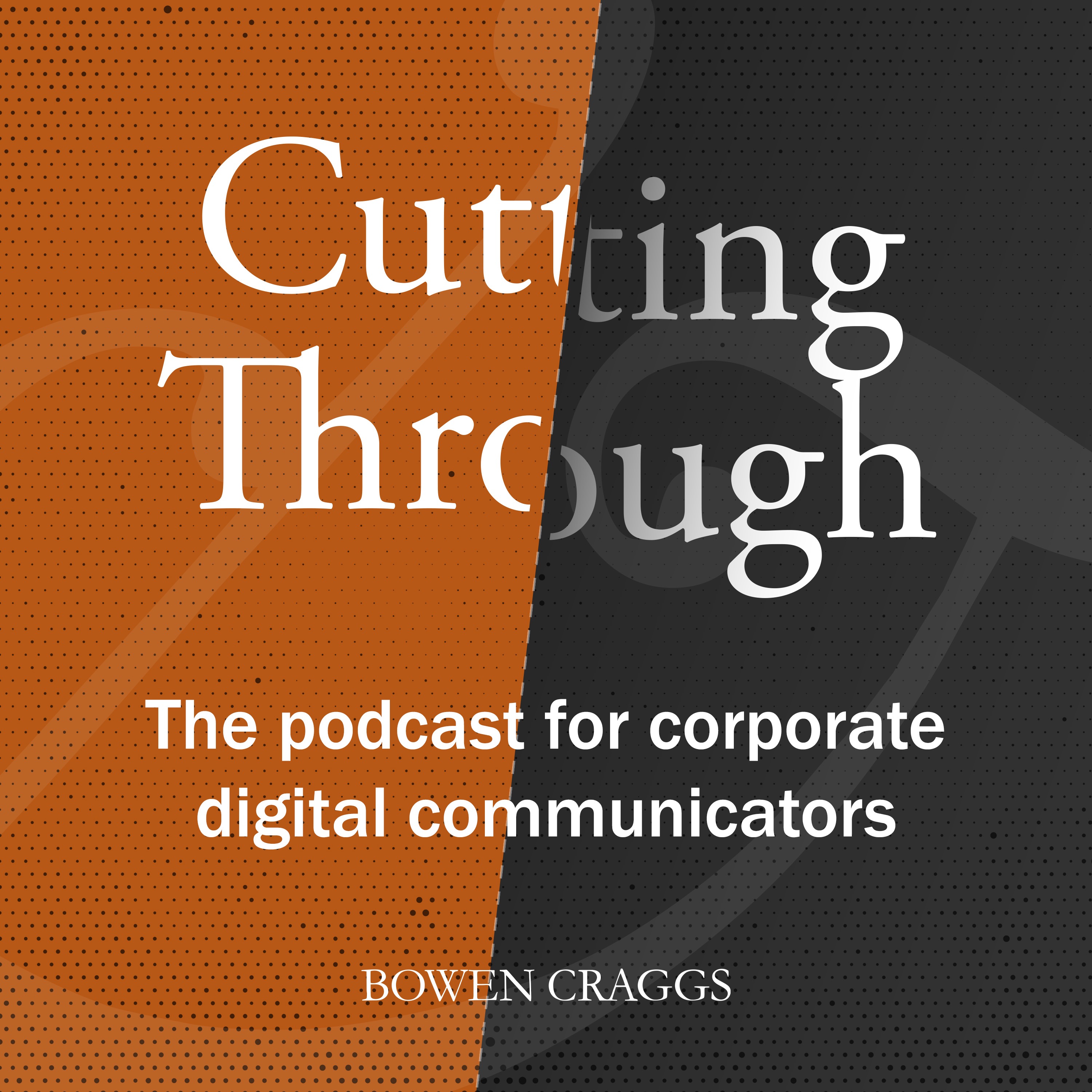 Now what? Digital communications after the US Election episode artwork