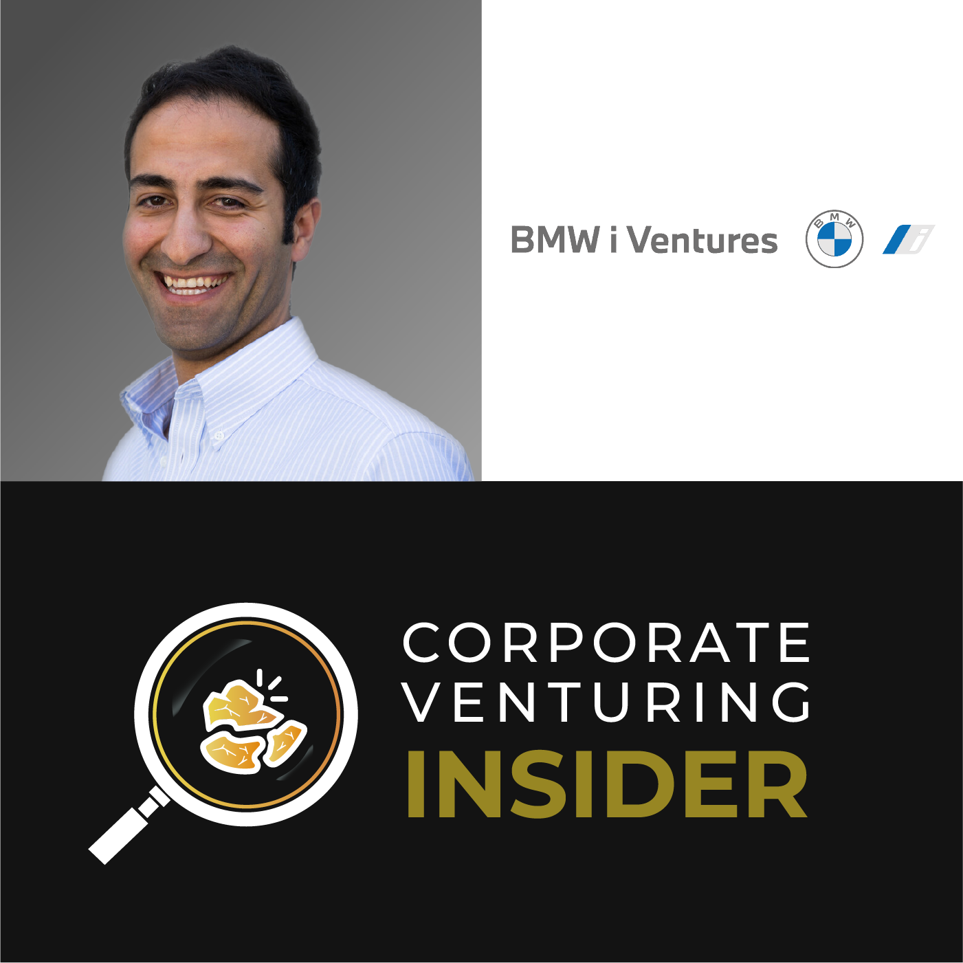 Corporate Venturing Insider