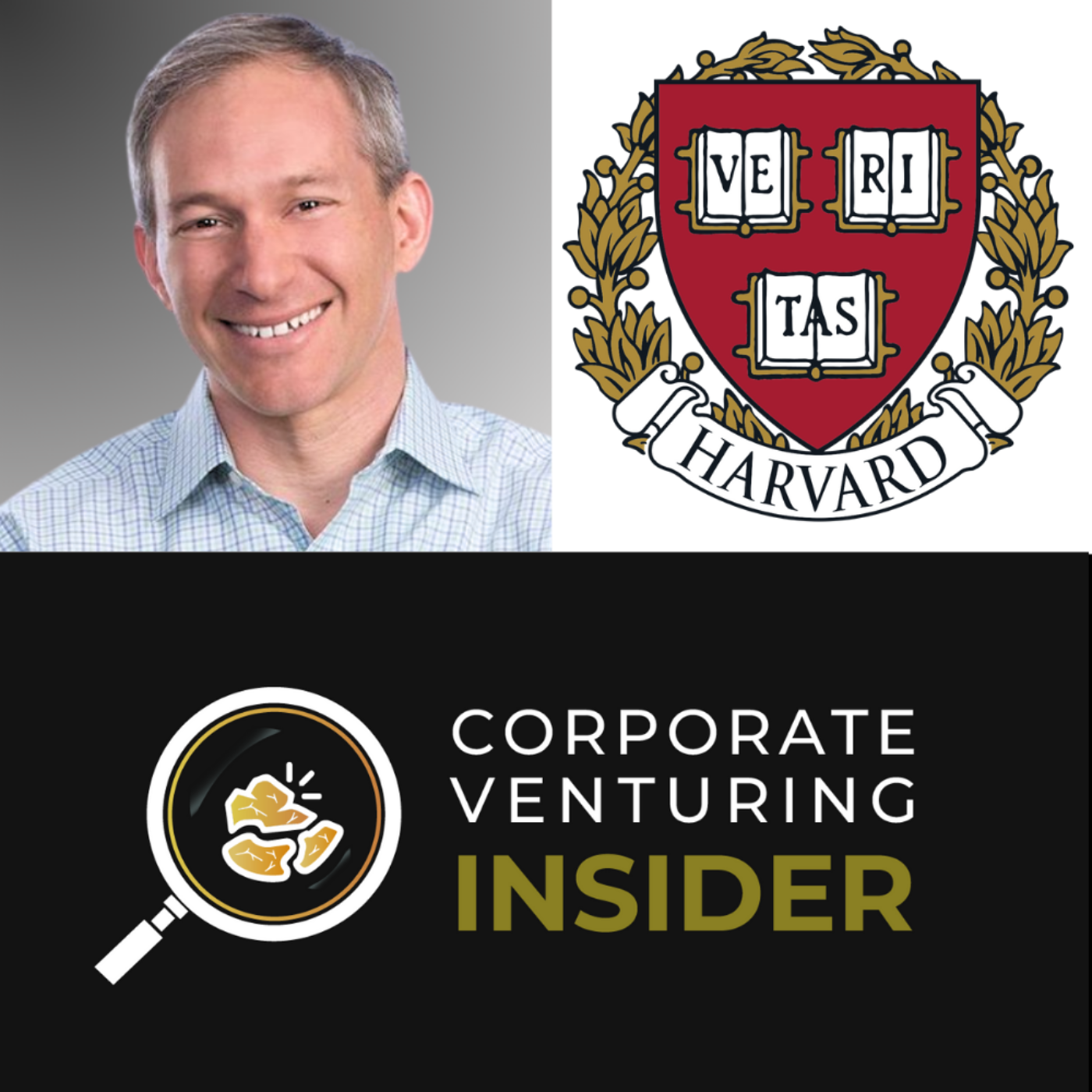 Corporate Venturing Insider