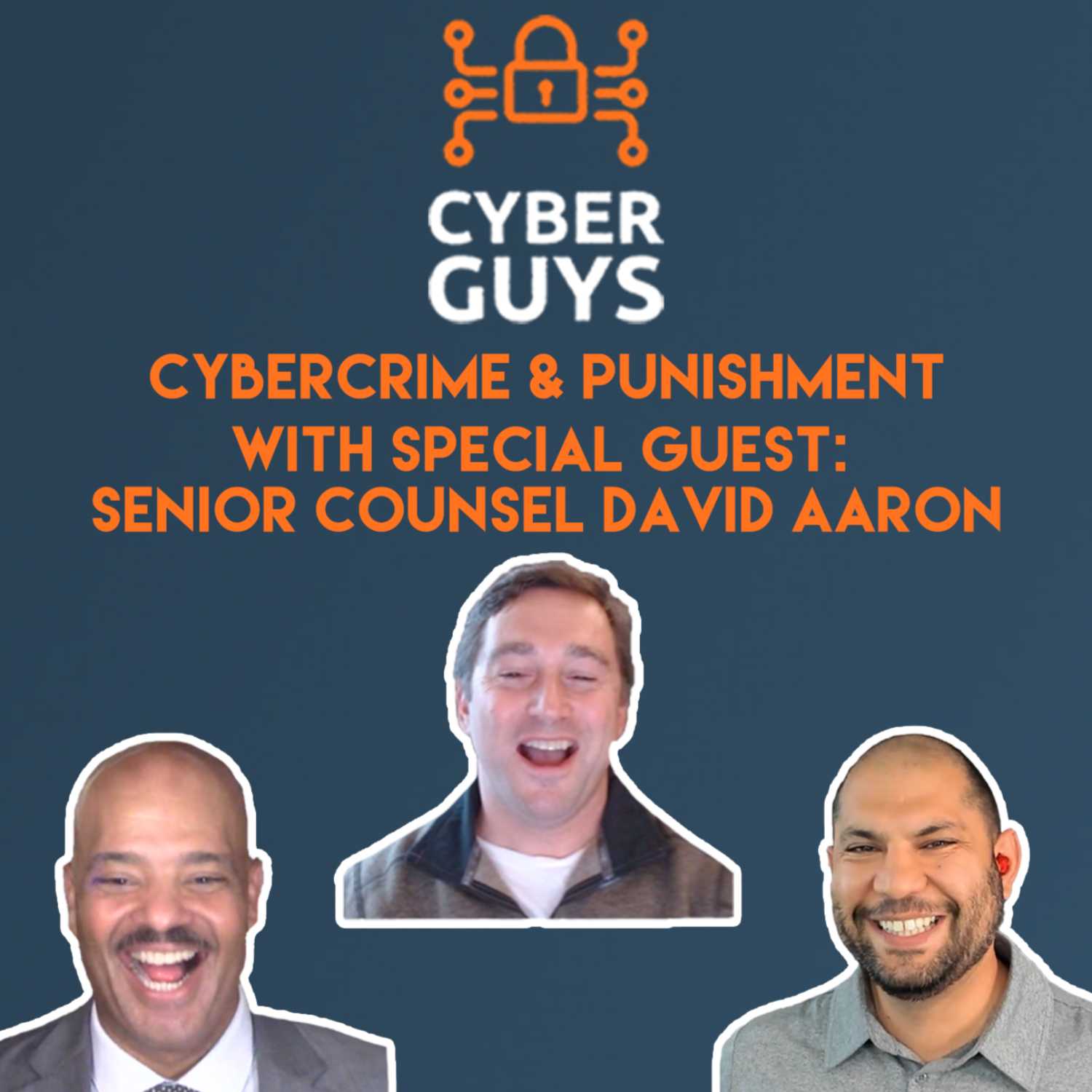 Cybercrime & Punishment