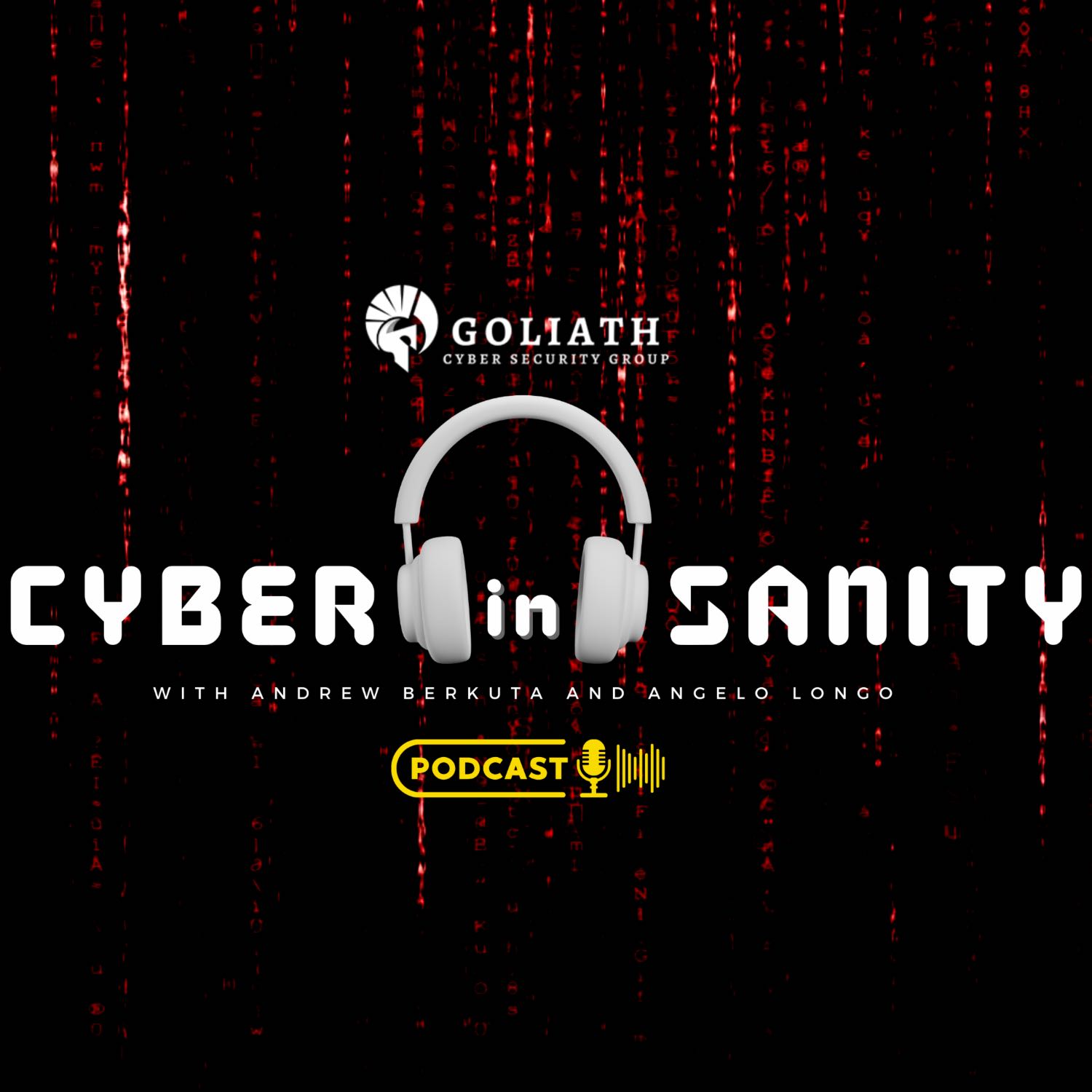 Cyber (in)Sanity