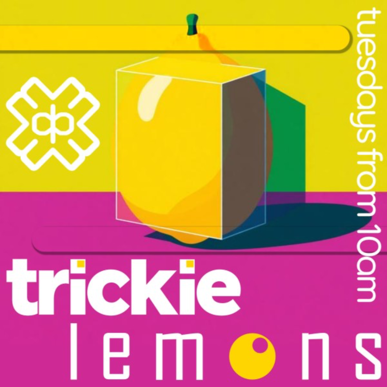 Van der Cee - Trickie Lemons (02/06/26) episode artwork