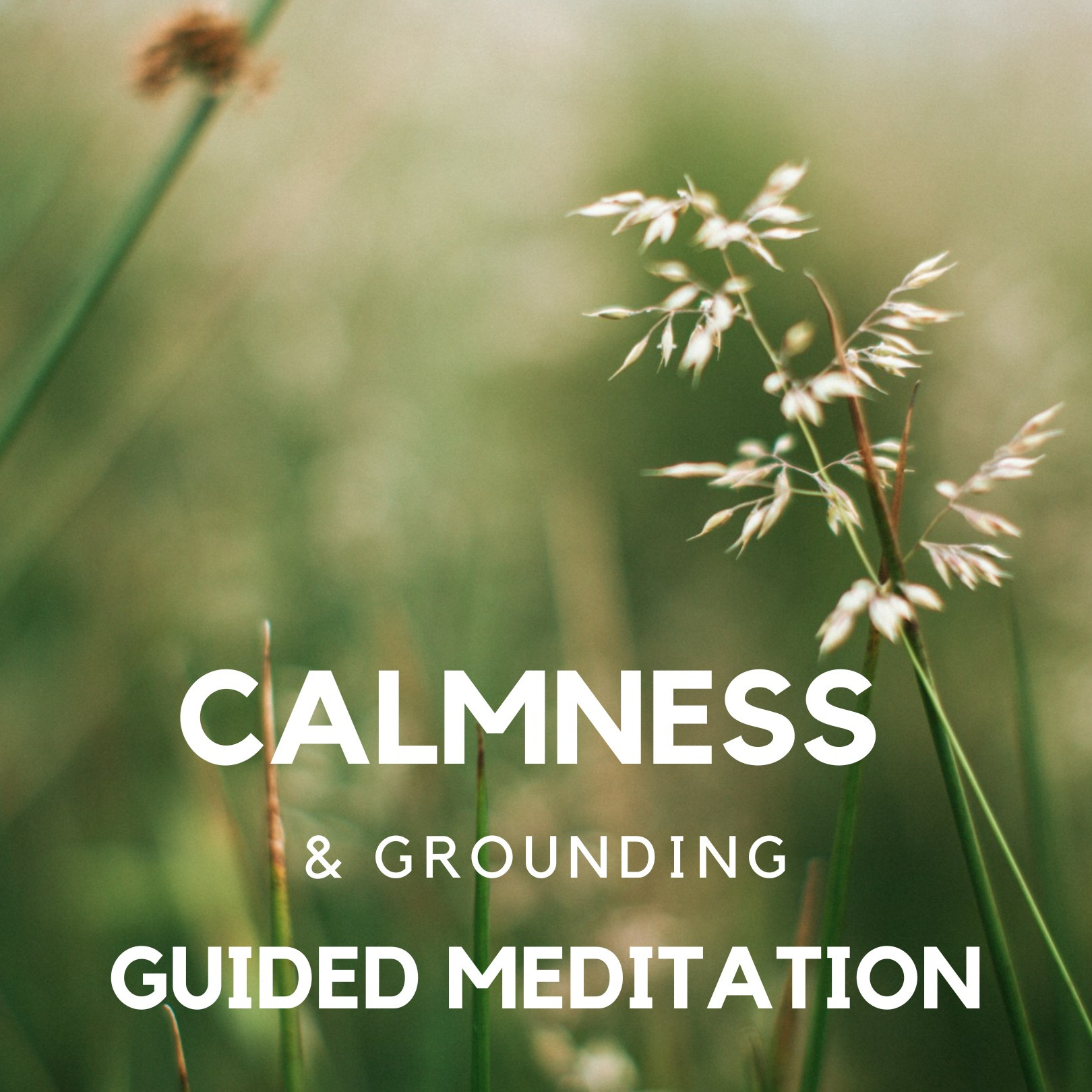 Healing Differently - Release CFS